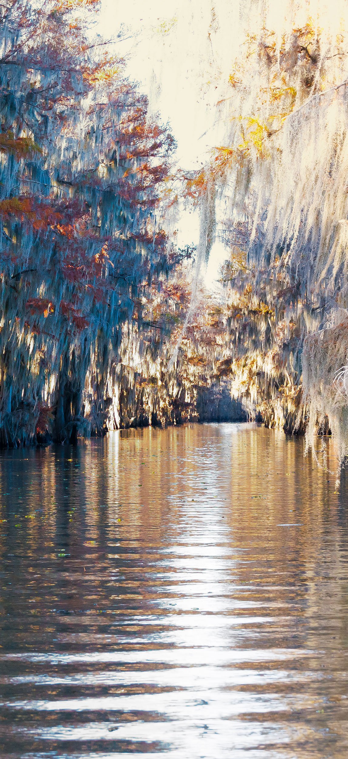 GoldenHighway-44x96.jpg