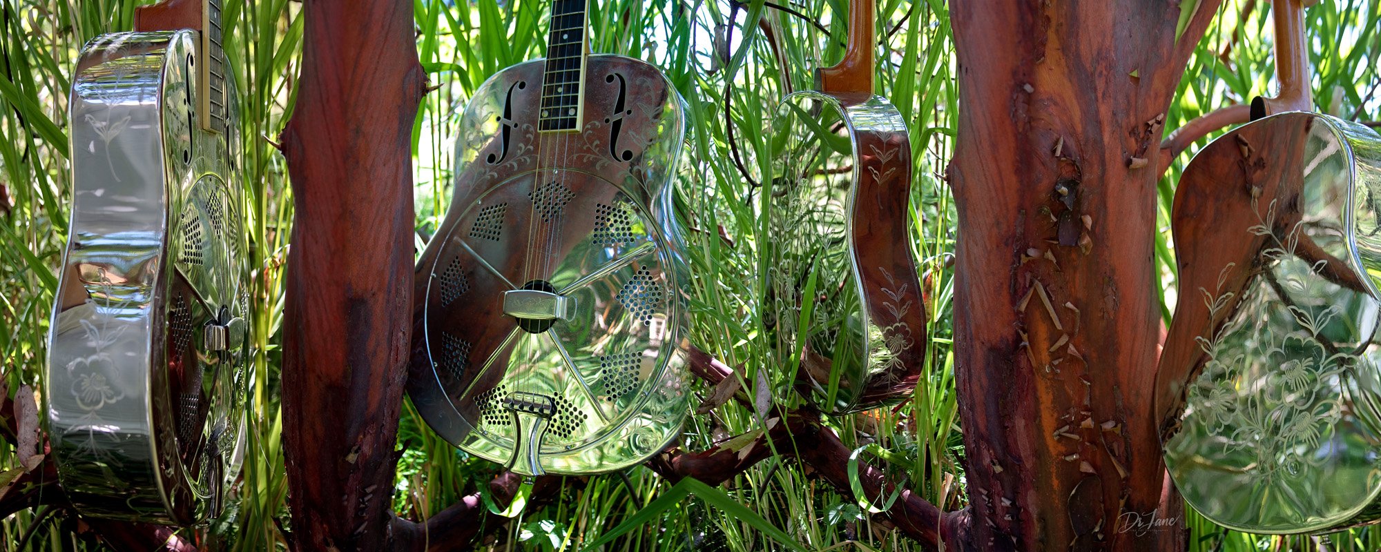 Guitar Junglescape - 24 x 60 panel