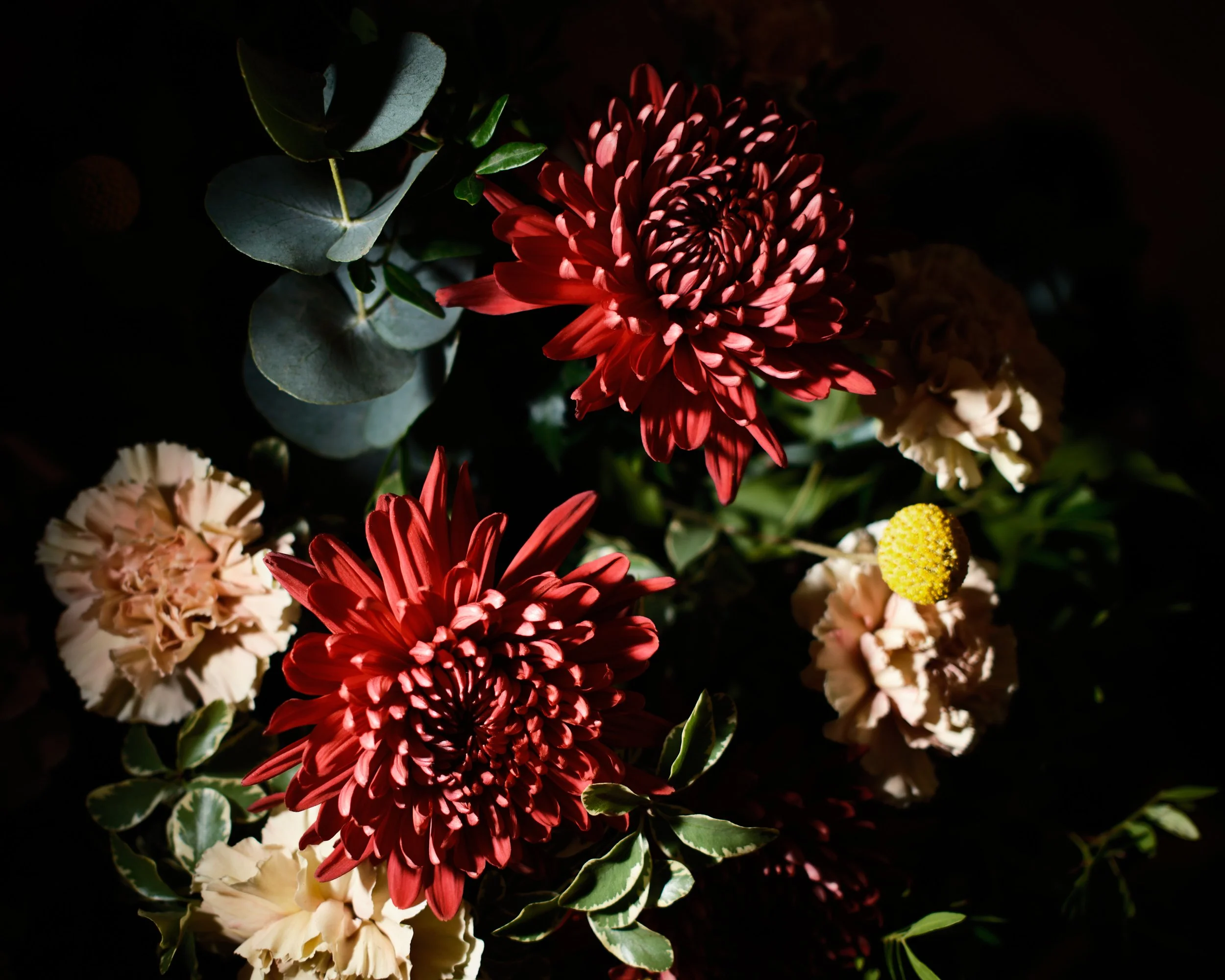 DSCF0457.jpg