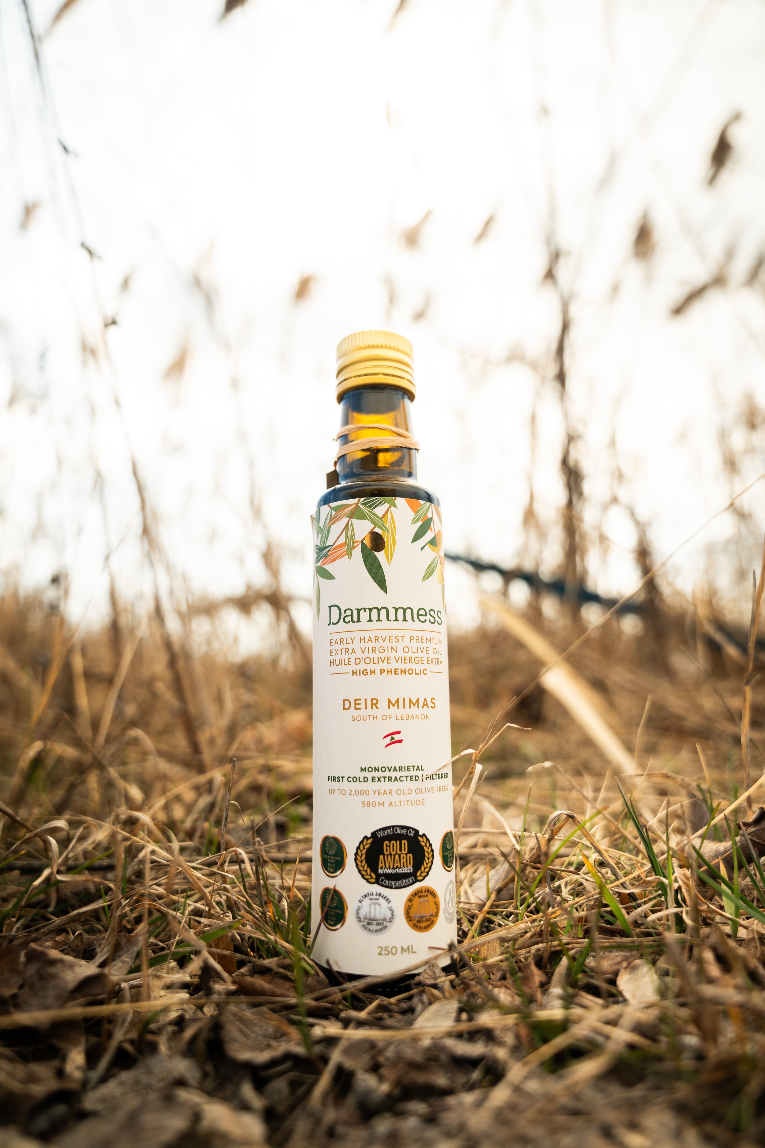 OliveOil-3.jpg