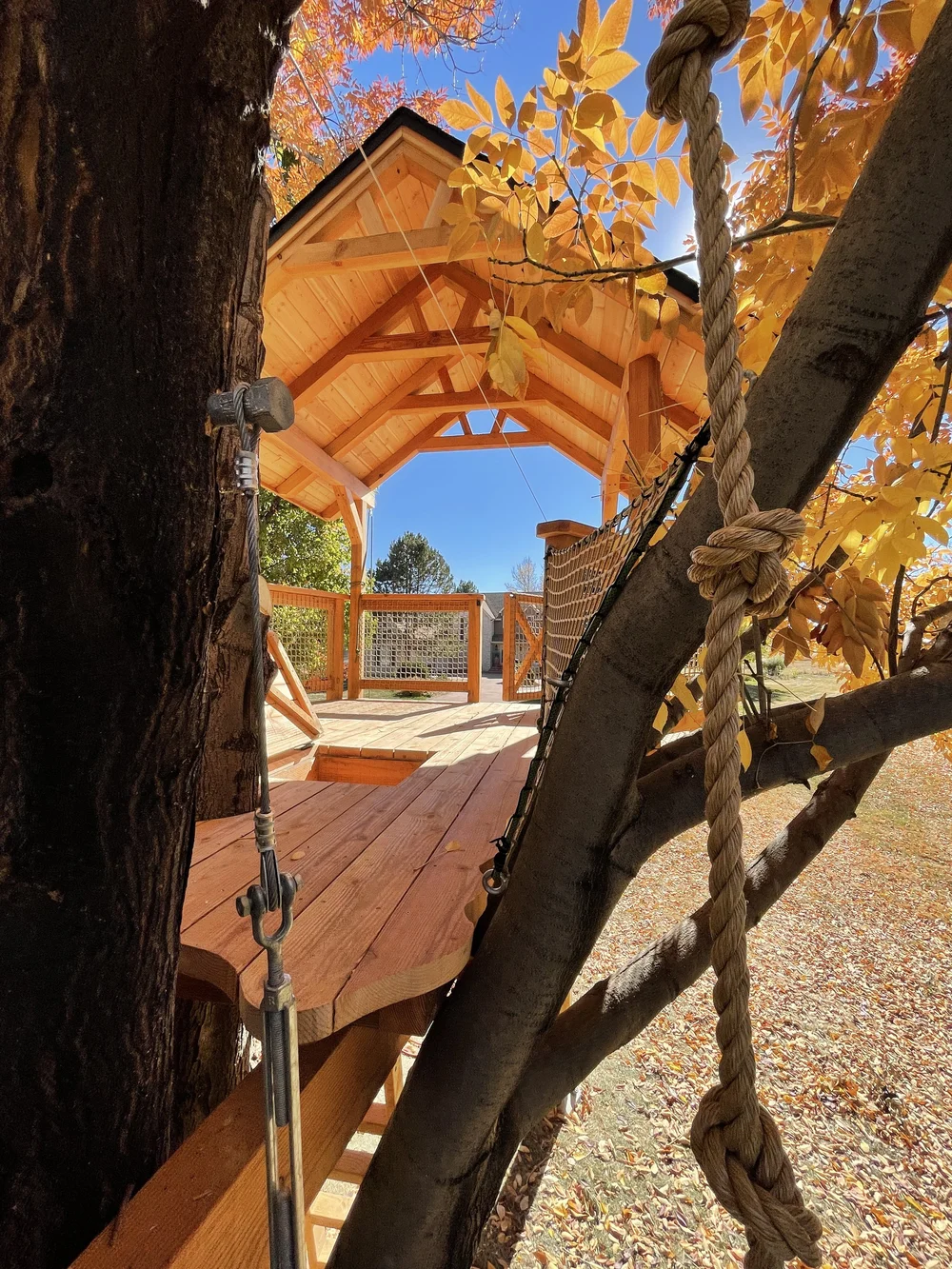 Ash — Treecraft DesignBuild Custom Treehouses