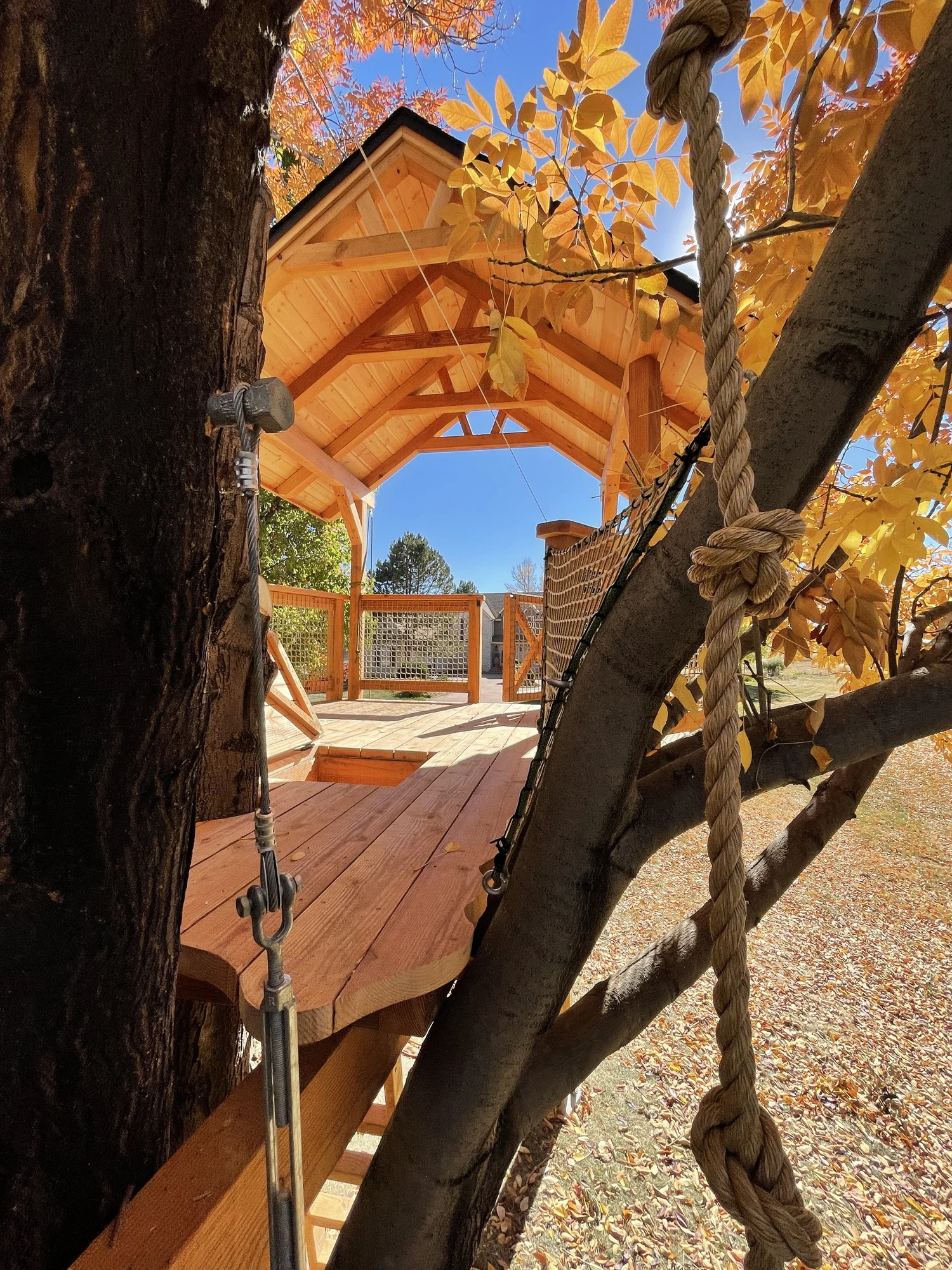 Ash — Treecraft Design-Build Custom Treehouses