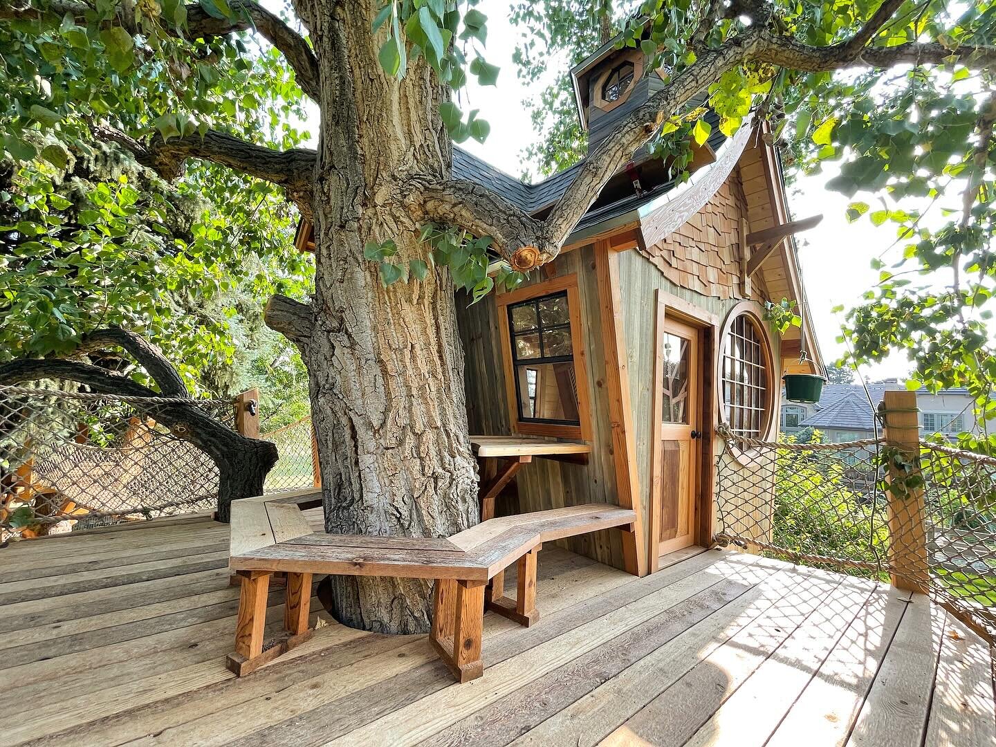 Looking forward to summer treehouse time as the days start to get longer, little by little.  Throwback to the Jacklin treehouse ☀️🌲