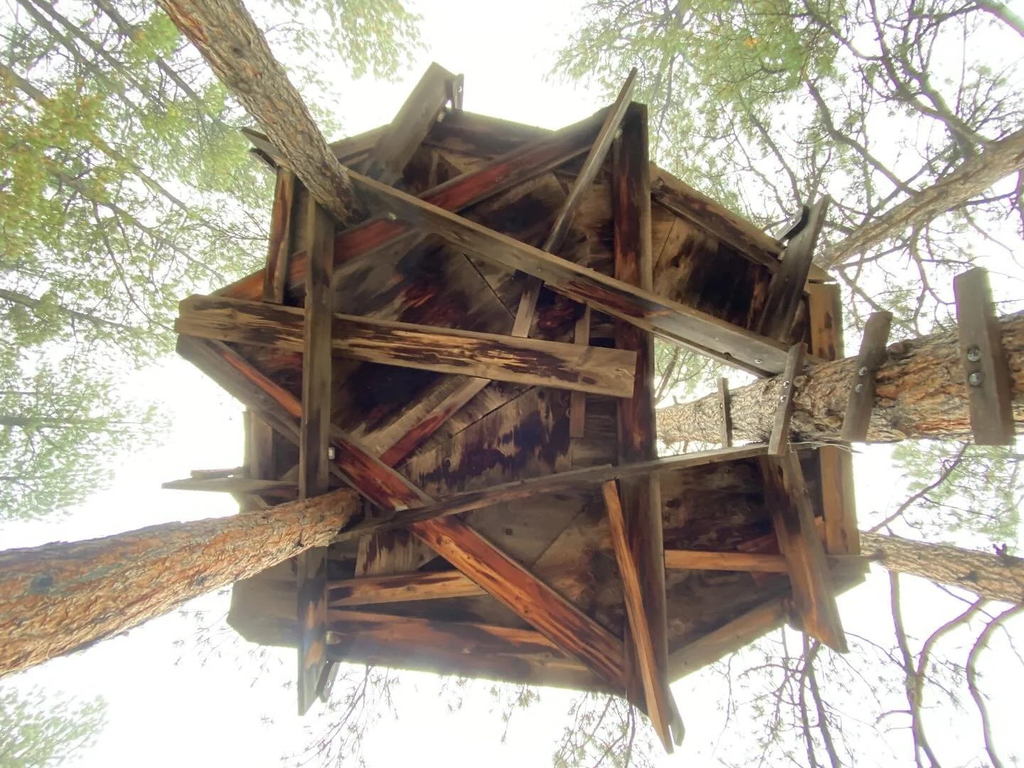 Day one on site for the Buffalo Creek Treehouse and we started by demo-ing this crazy but awesome old treehouse platform that was rotting away.  Freestyle framing at its finest!  The attachment points were not very tree-friendly though, so we cut the
