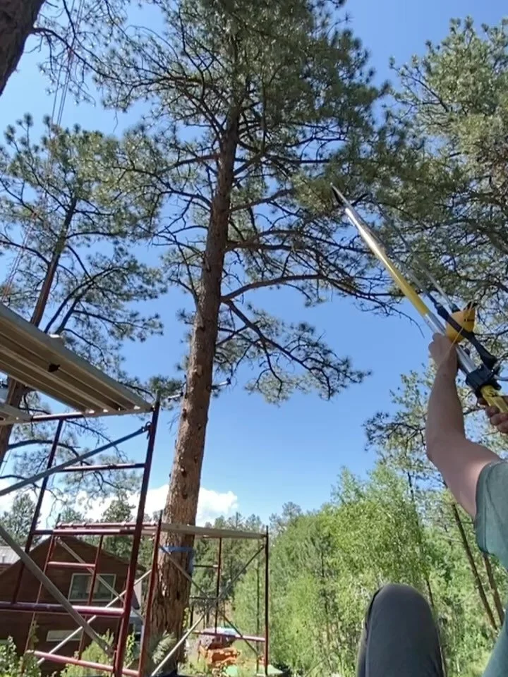 Today we climbed a lot of trees!  We set up a high line with an English reeve trolley / lifting system which we&rsquo;ll use to fly beams, platform, wall sections, rafters, etc up into place in the trees.  Used the big slingshot to get a throw line i