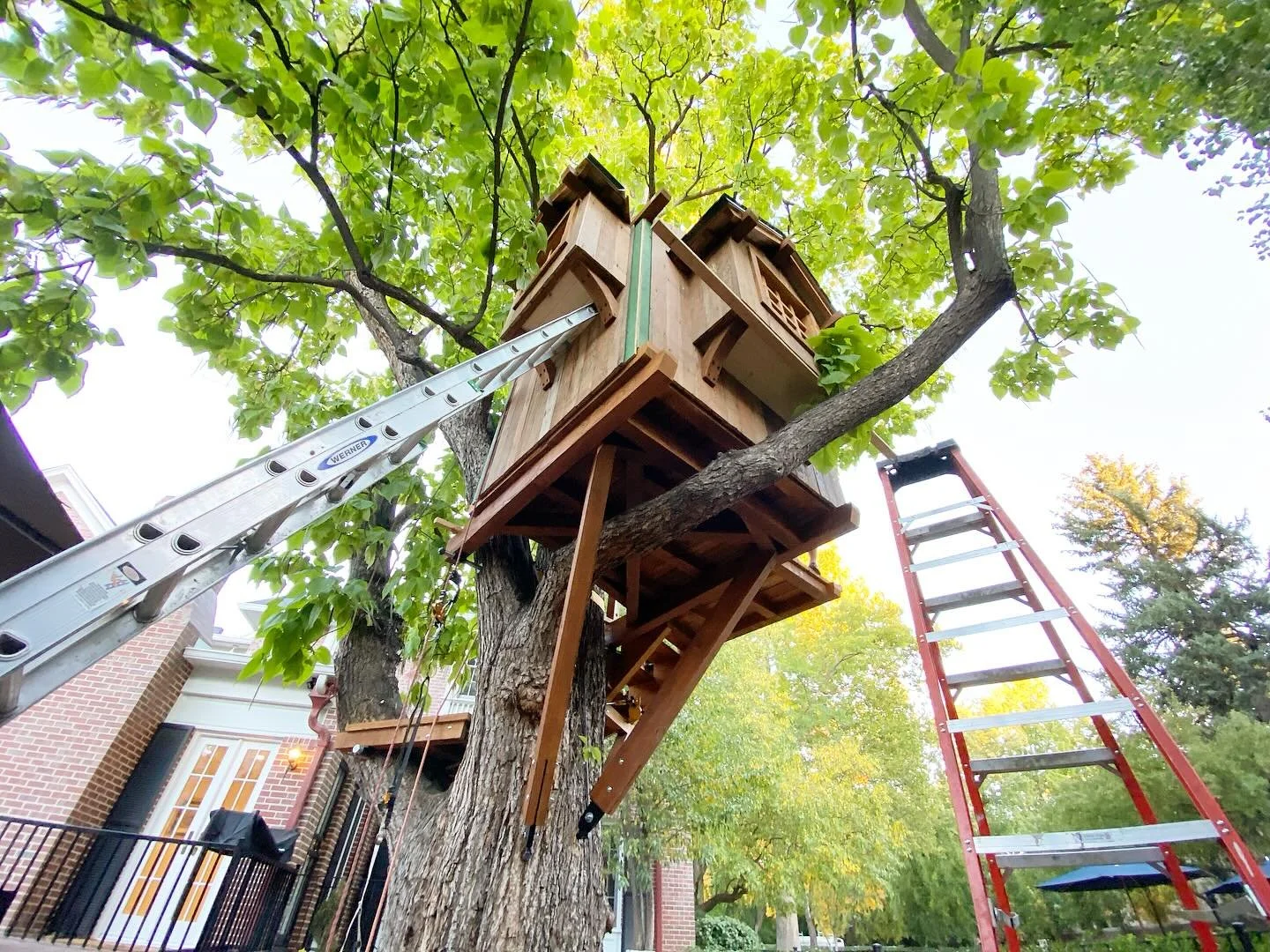 Was a big day two on site for the Catalpa treehouse!  Early morning load-out getting all of the wall sections, roof sections, platform, and spiral stair on the trailer in Fort Collins.  By the end of the day we got the main platform up, braces in, al