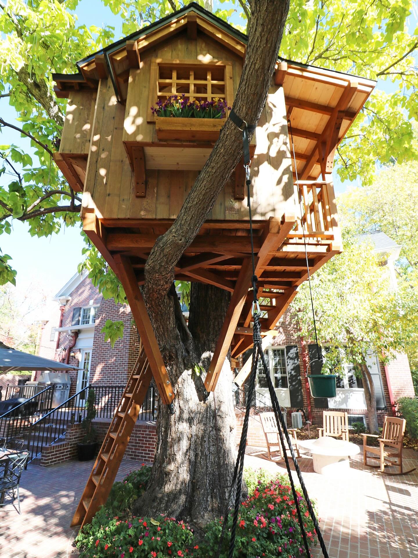 Working on a long overdue update to the website, getting final photos of a bunch of completed projects put together.  Here are some from the Catalpa Treehouse we just recently finished in Denver!  Full gallery is now up on the website! (Link in bio)