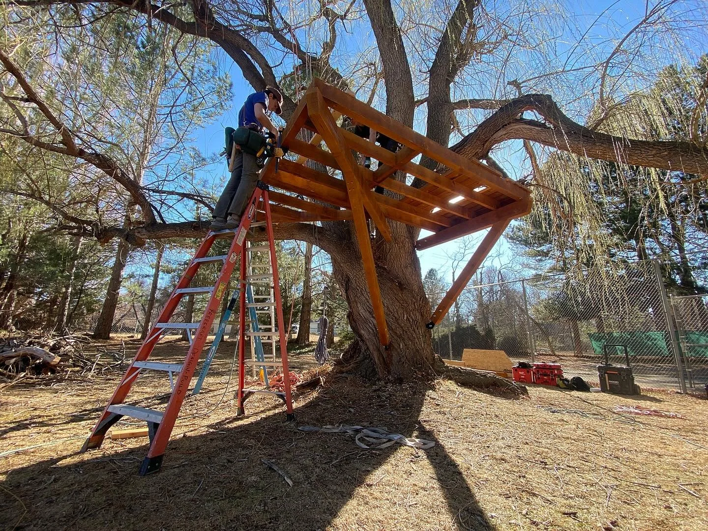 Day one on site last week raising the Zhang treehouse with @cameronbreck and @____pitch____