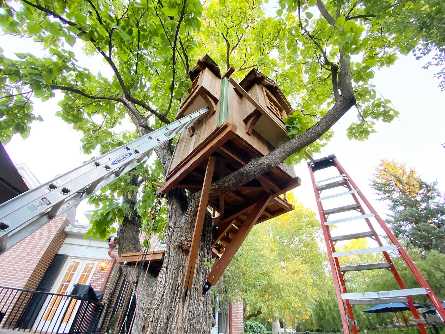 Was a big day two on site for the Catalpa treehouse!  Early morning load-out getting all of the wall sections, roof sections, platform, and spiral stair on the trailer in Fort Collins.  By the end of the day we got the main platform up, braces in, al