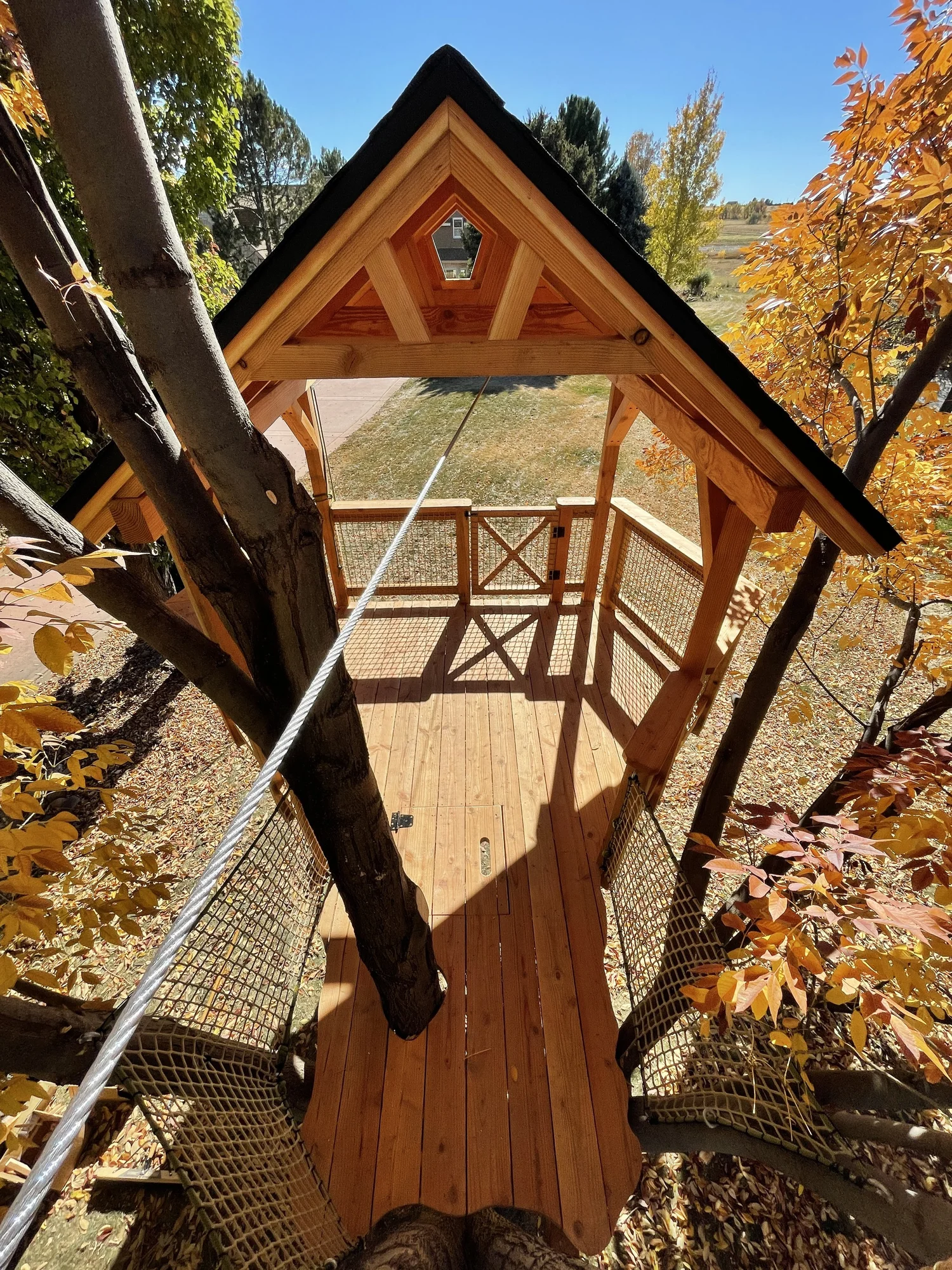 Ash — Treecraft DesignBuild Custom Treehouses