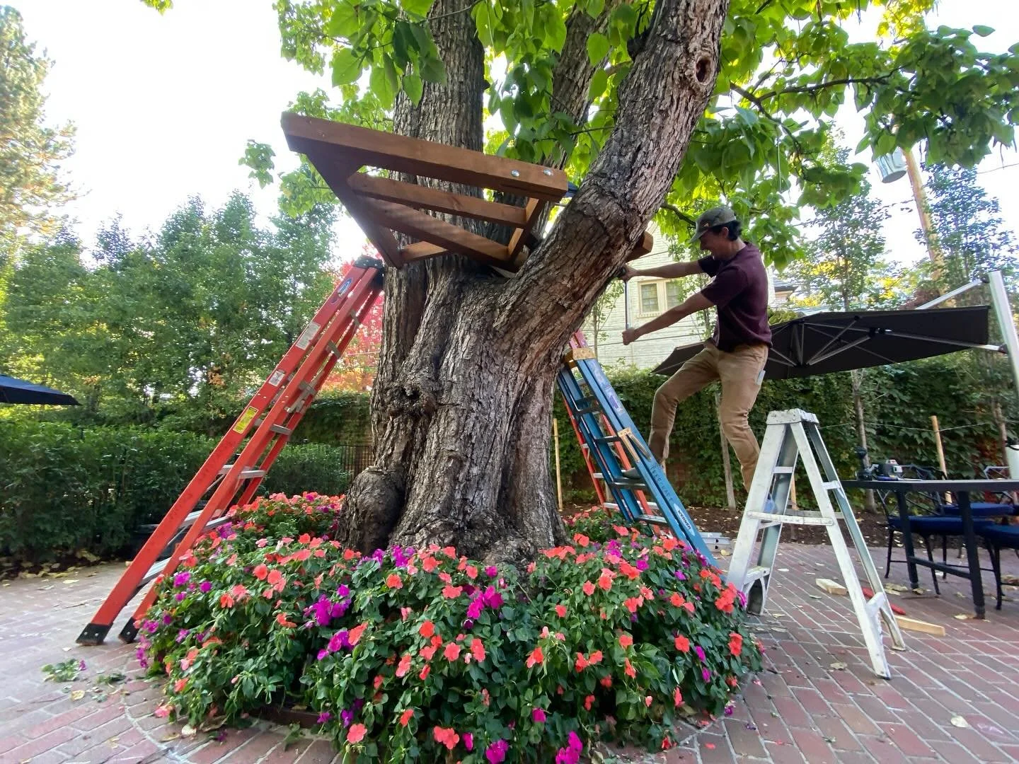 Day one on site installing the Catalpa Treehouse!  Today Cam &amp; I laid out &amp; installed 2 hyperbolts from @nelsontreehouse, 4 of our paddle TABs, and 4 of our &ldquo;hockey stick&rdquo; bolts for knee braces.  With everything mostly prefabbed a