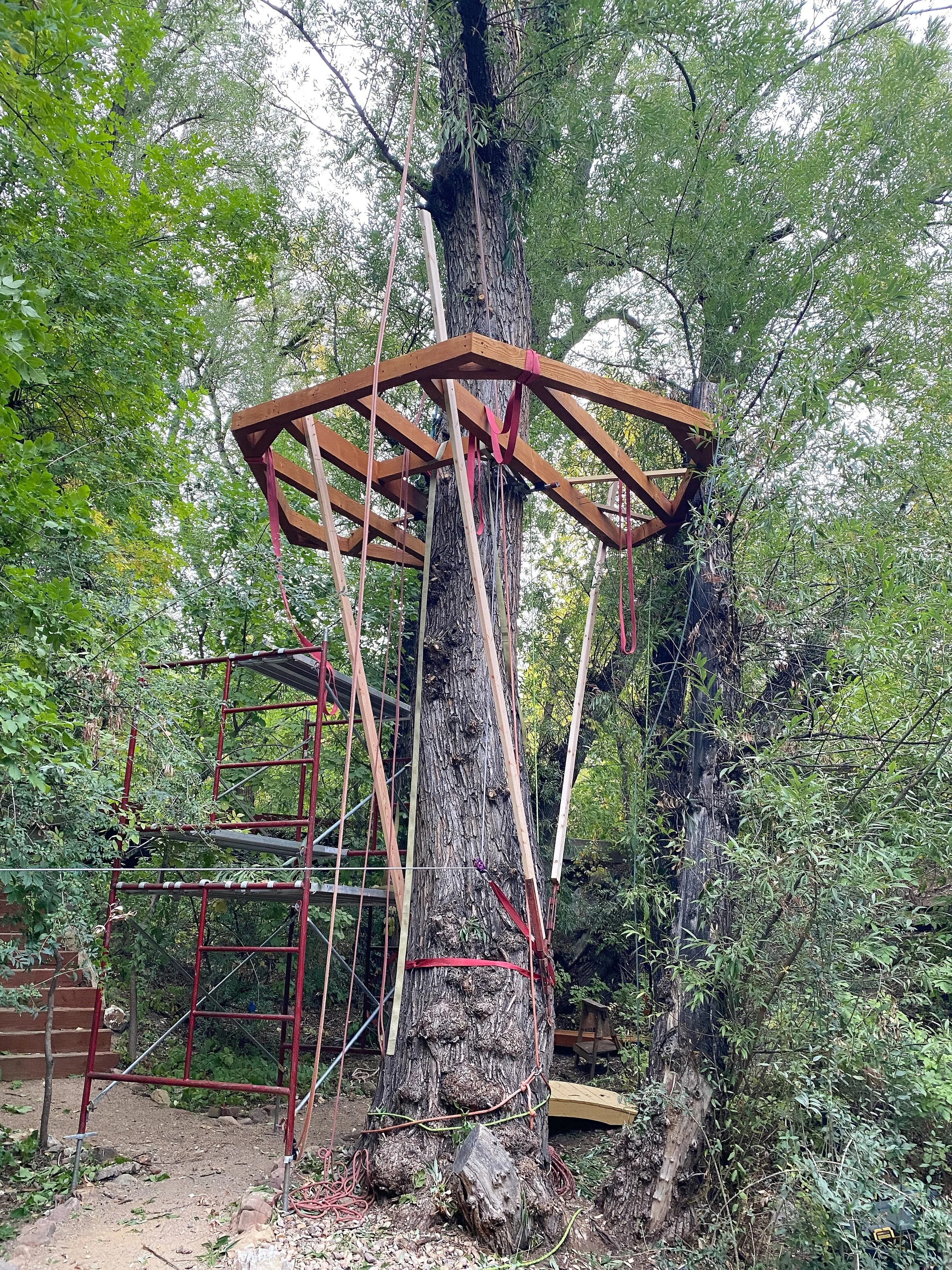 We started raising a new project this week, the O&rsquo;Winter Treehouse, in Boulder!  We are adding on to a project we built several years ago with six new platforms that will reach higher up into the trees, a net feature, and a big suspension bridg