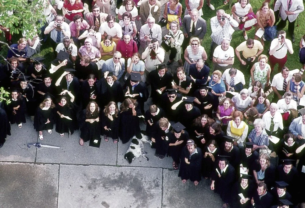 A watch fell and hit a dog