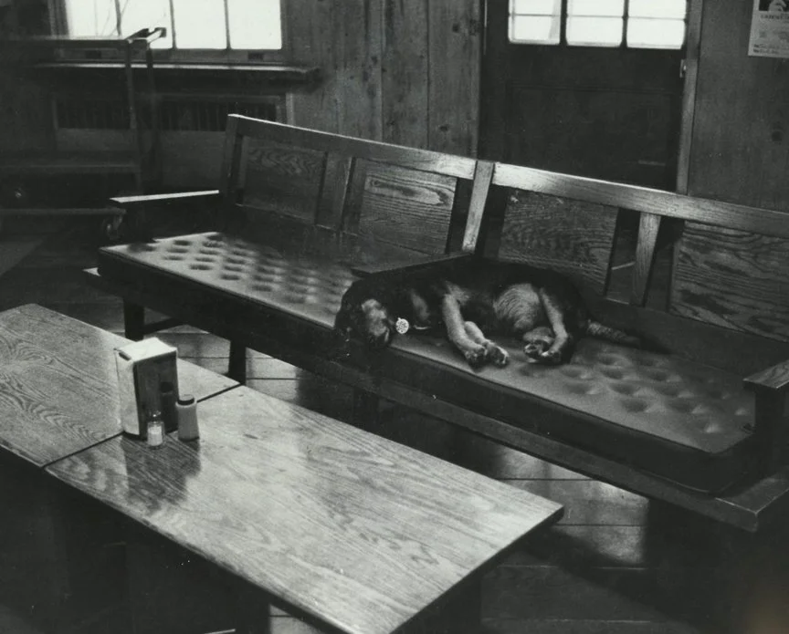 Williams 73 for web-0001.jpg