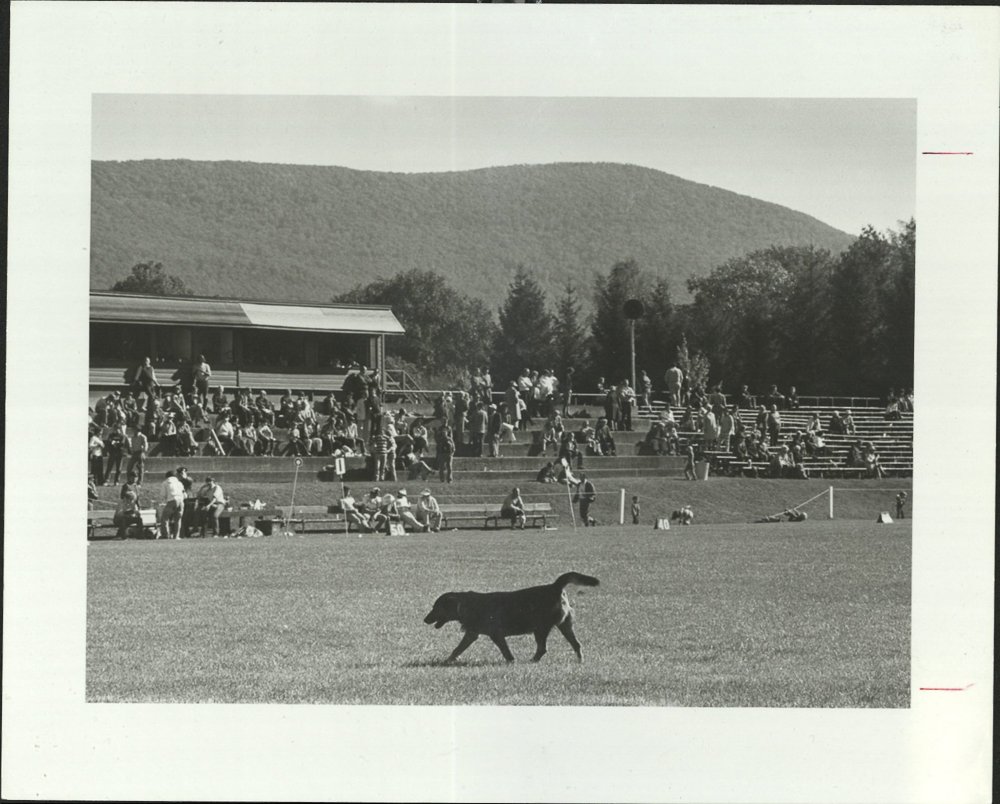 Williams 73 for web-0002.jpg