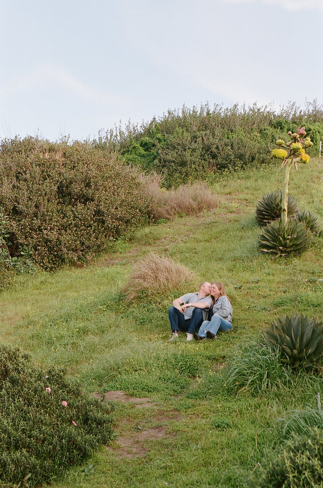 A couple sitting on grass in a lush outdoor area, sharing a kiss, surrounded by large desert-like plants and bushes under a cloudy sky.