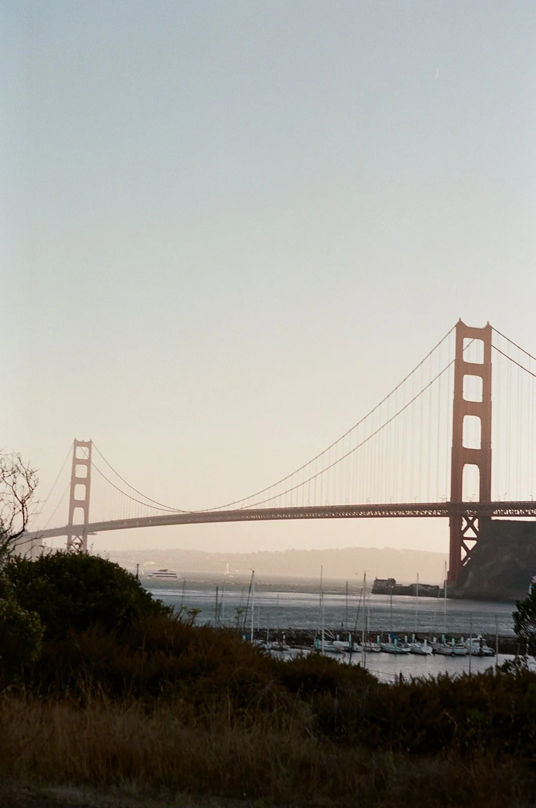 A photo of the Golden Gate Bridge in San Francisco, California, with boats in the water and some trees and shrubs in the foreground.