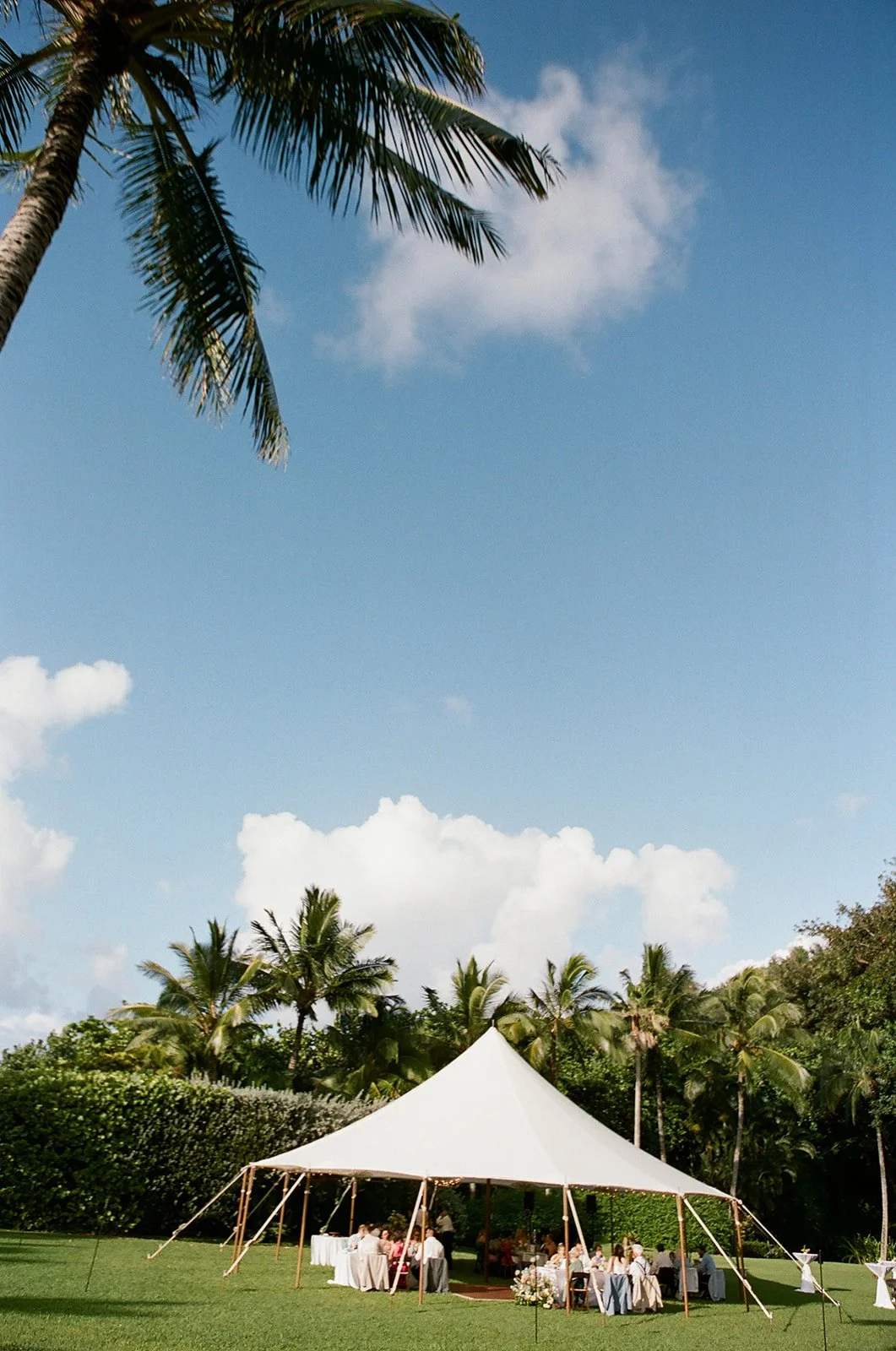 Outdoor celebration under a large white tent with tables and guests, surrounded by palm trees and a clear blue sky.