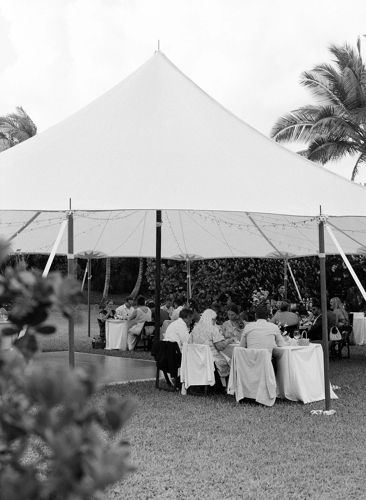 People dining at a large outdoor event under a white tent with string lights, surrounded by palm trees.