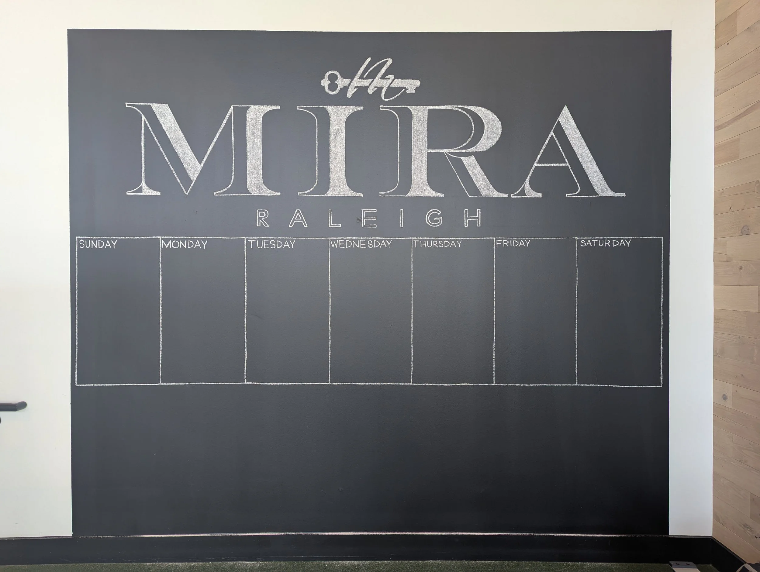 MIRA-Jan 2025.jpg