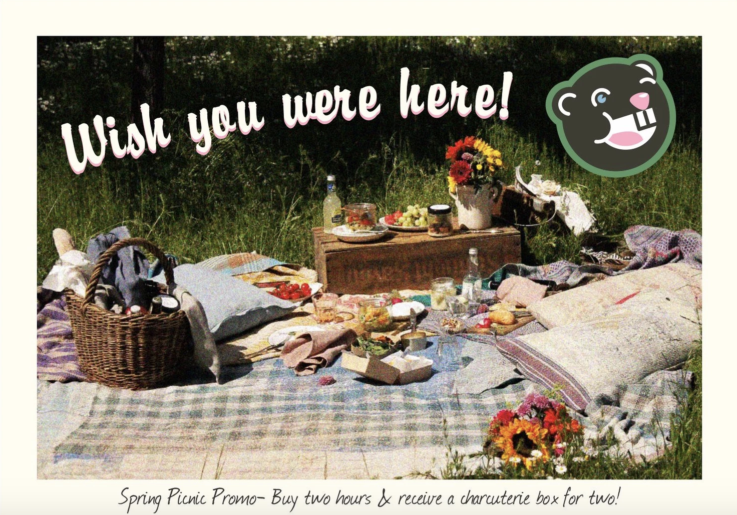 Spring Picnic Promo