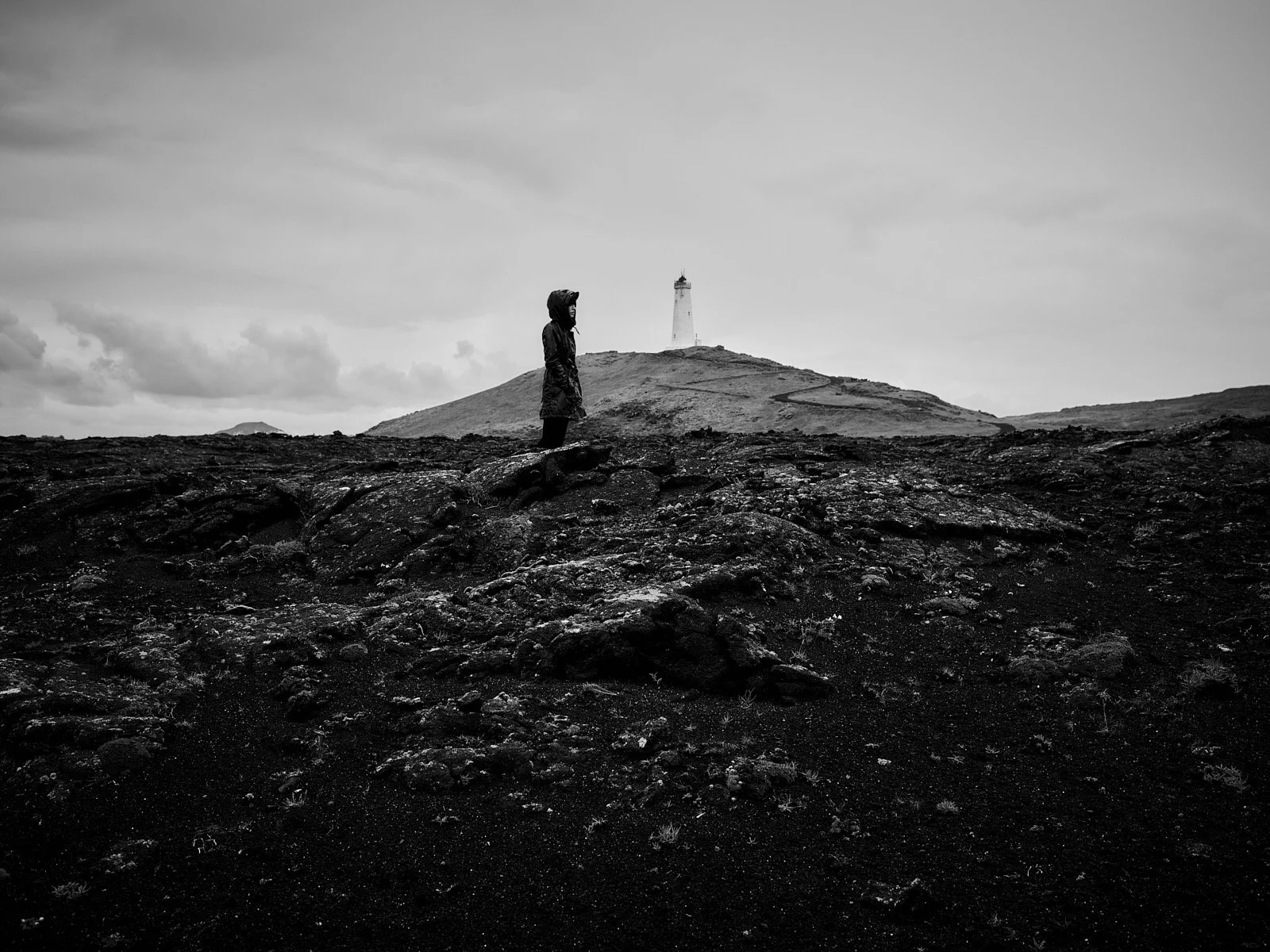 P0043342 copy_Original.jpg