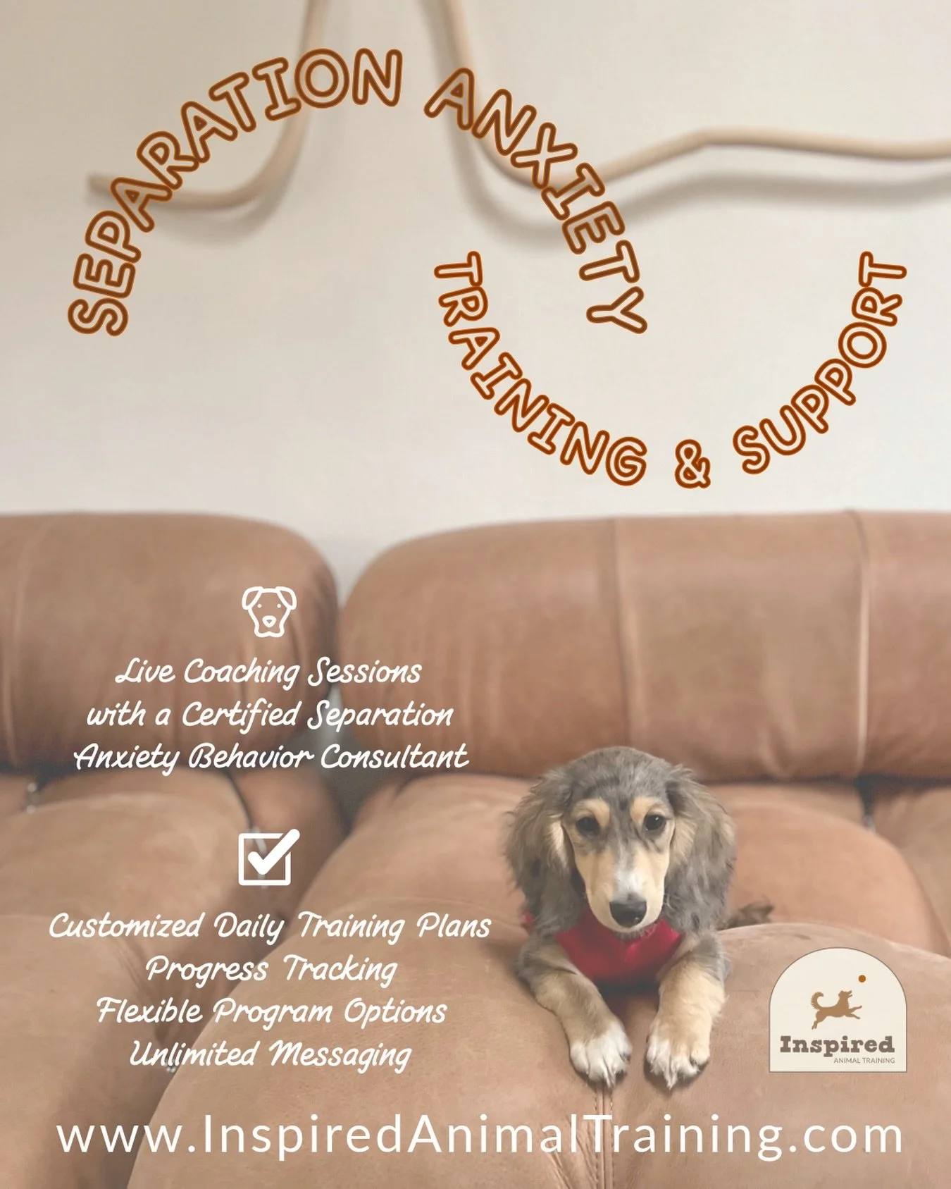 Big News! 💛💛💛
I am so happy to share that I have officially made the transition to working exclusively with families &amp; dogs who are experiencing separation anxiety!  My separation anxiety training programs are offered entirely online, allowing