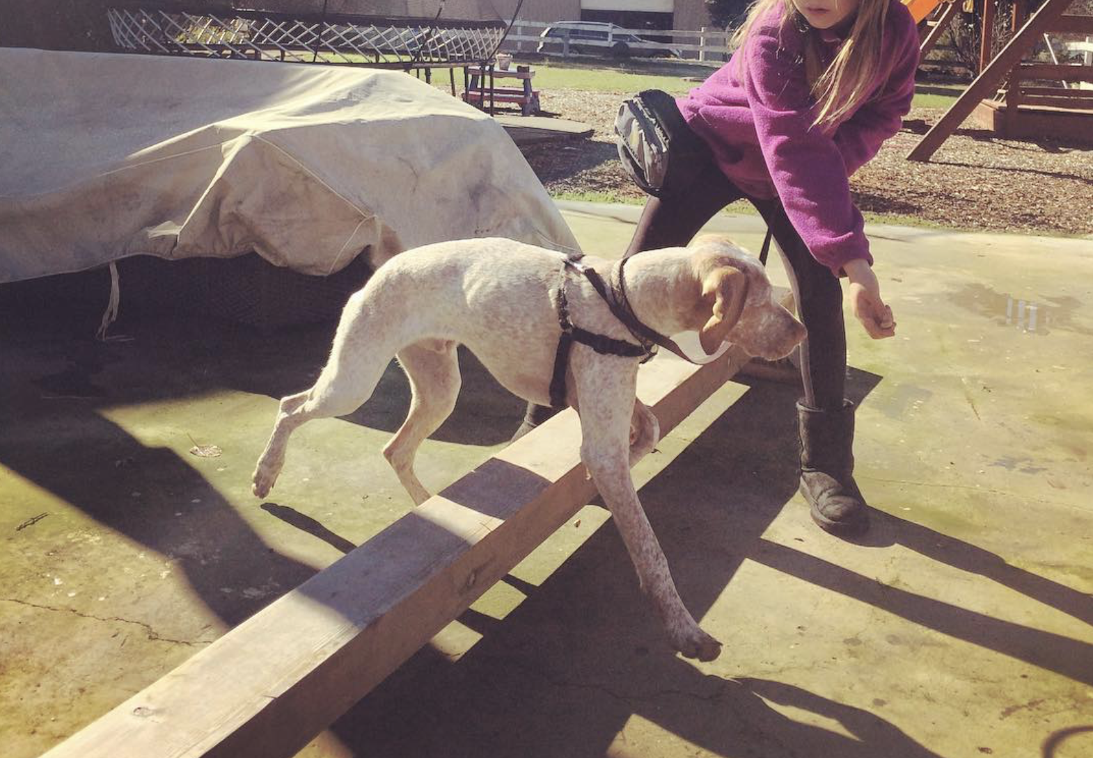 Screenshot 2025-04-04 at 9.32.38 AM.png