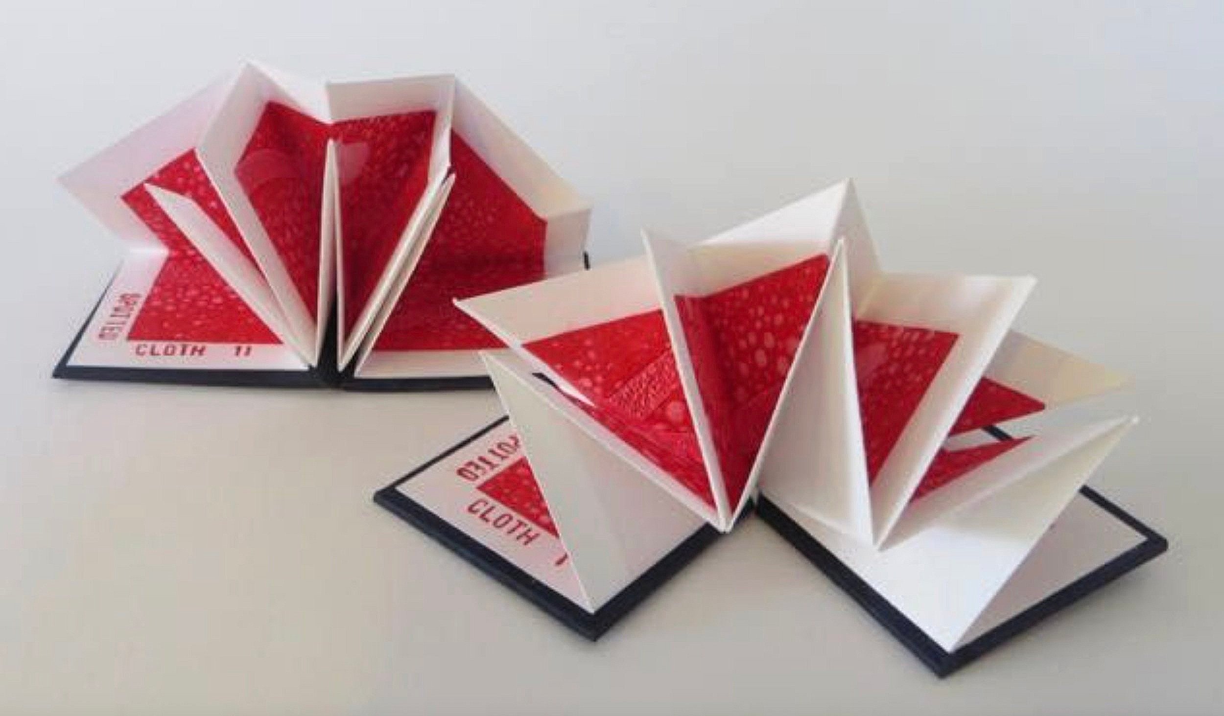 Lotus_fold_P_Drix.jpg