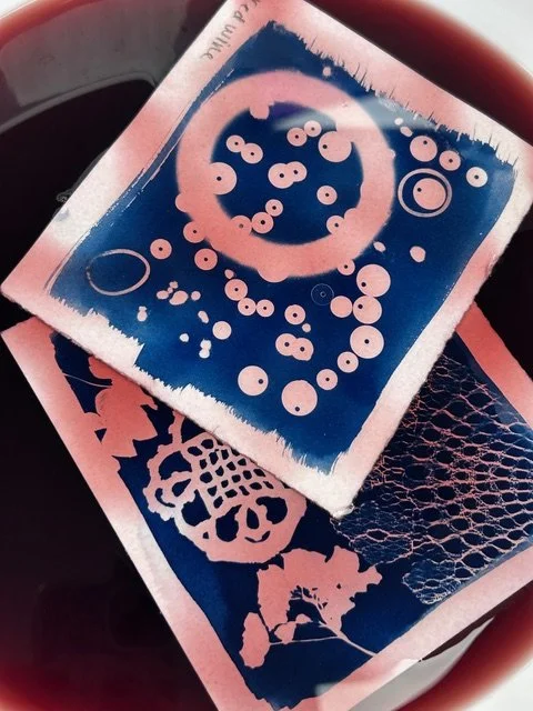 Advanced Cyanotype / October 3 + 4