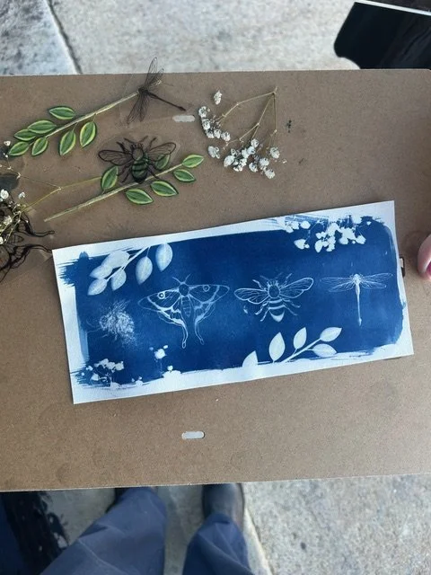 Cyanotype1.jpeg