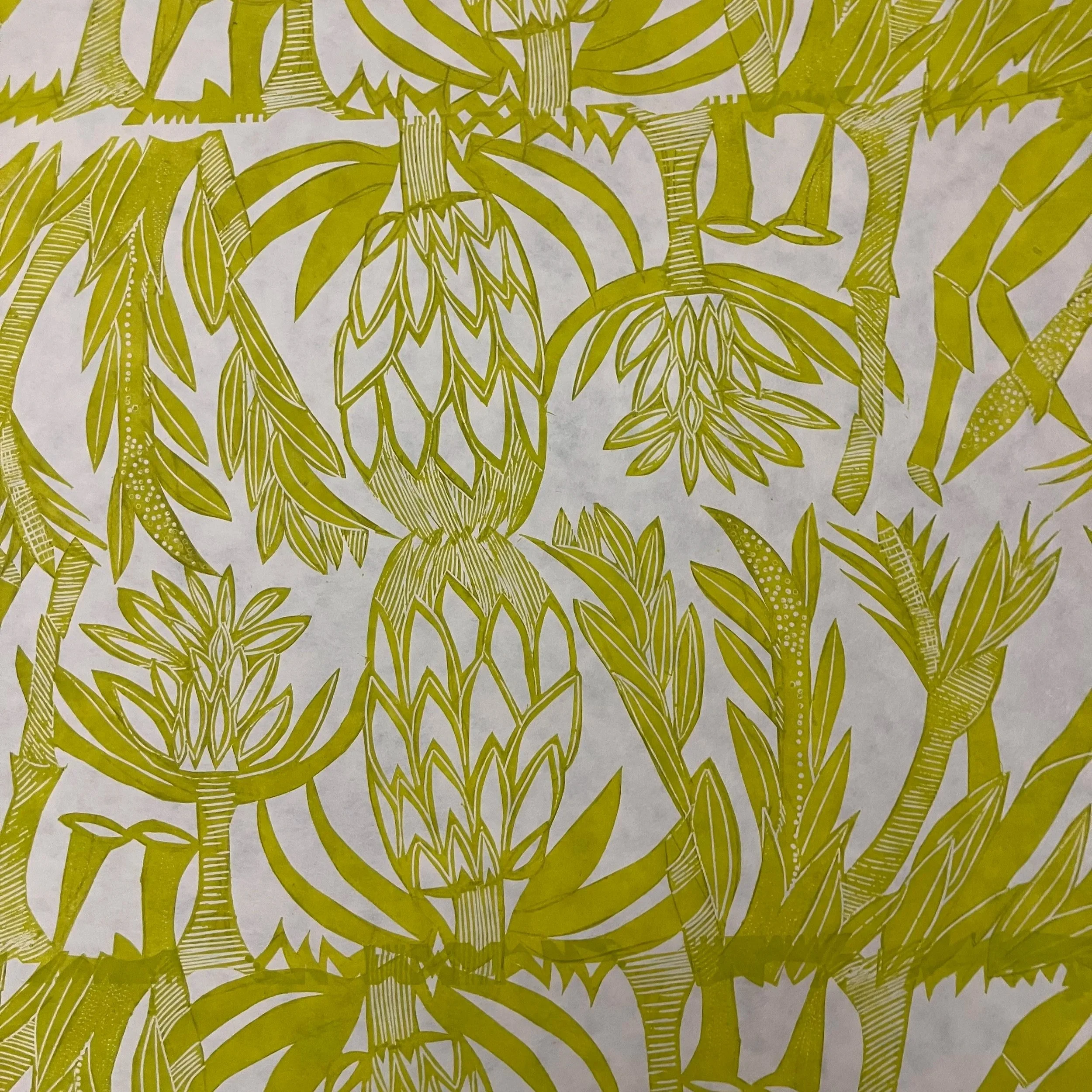 Nature’s Packages and Patterns: an exploration in relief printmaking