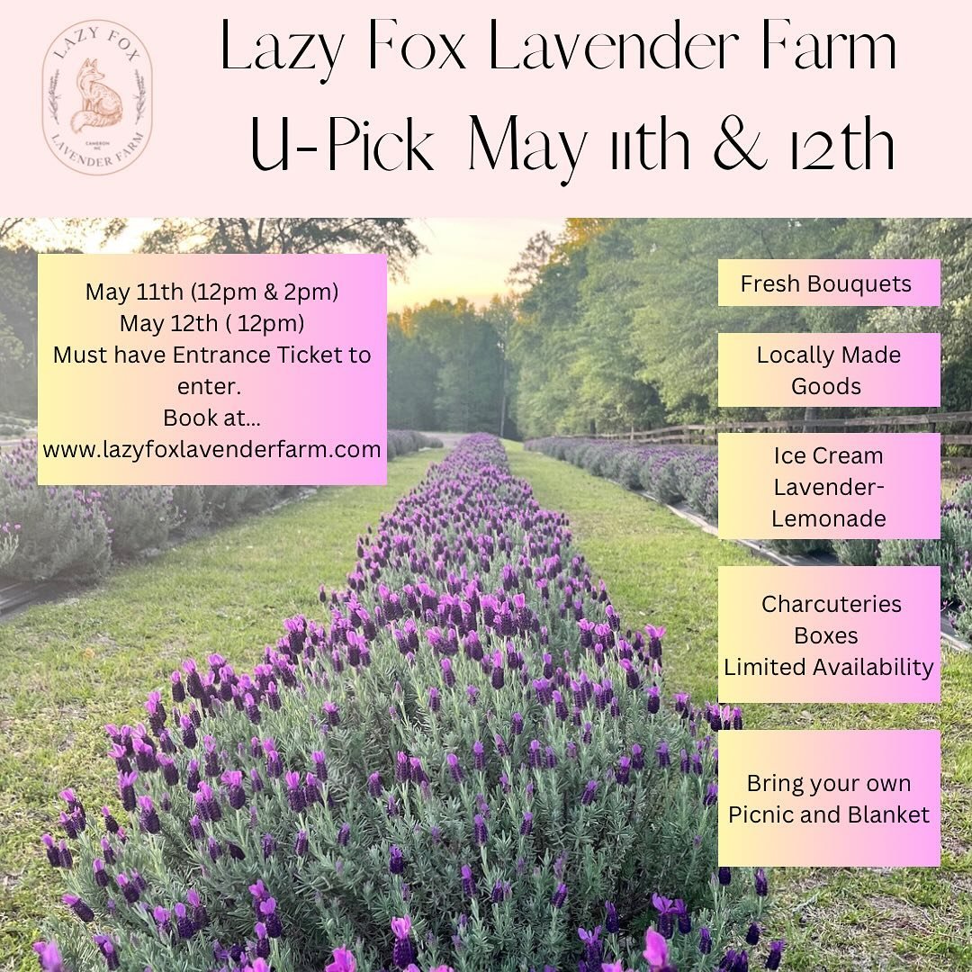 Next U-Pick 
Book your tickets now. 
Click the link in the bio or go to 
www.lazyfoxlavenderfarm.com