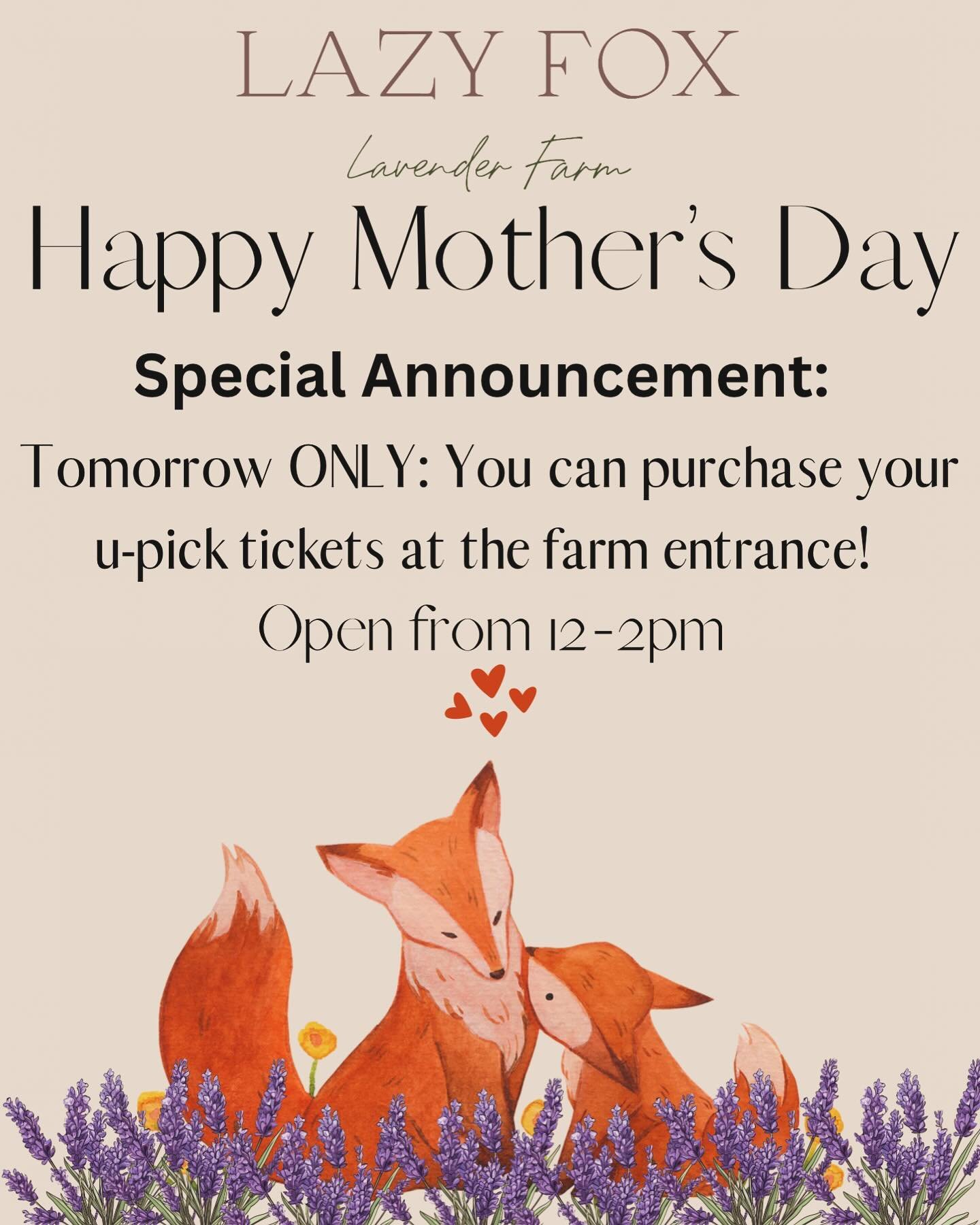With the entrance ticket you can:
1. Enter the farm
2. Pick a bouquet of fresh lavender 
3. Shop in our Parlor Store
4. Bring a picnic lunch
5. Purchase ice cream &amp; lavender lemonade from @bigdippernc 
6. Meet our adorable heritage breed sheep
7.