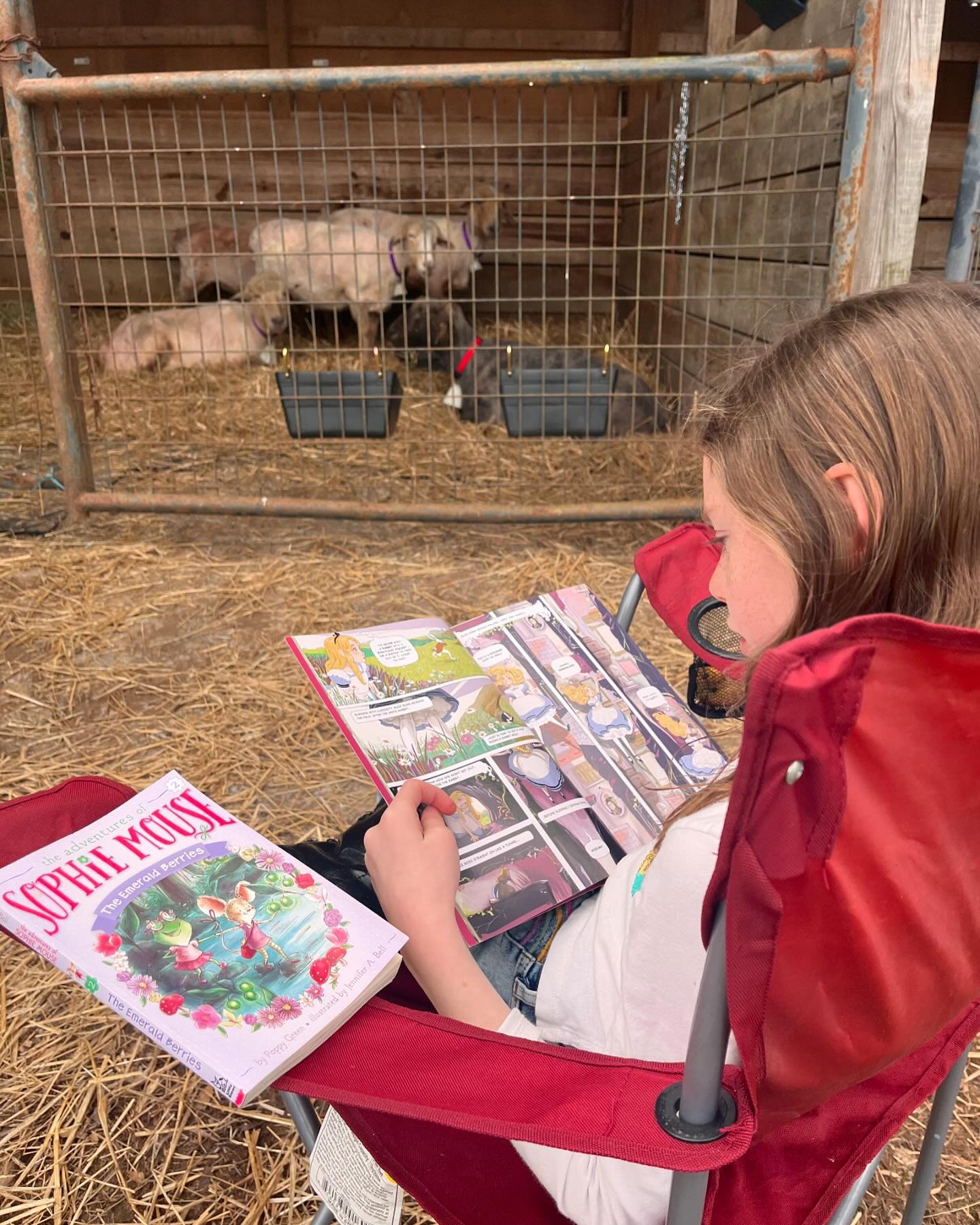Anna steals a moment amidst the bustling farm life, reading to our heritage breed sheep. It&rsquo;s in these simple, serene moments that the true essence of farm life unfolds. Embracing the beauty of everyday routines.🐑💕 
#LazyFoxLavenderFarm #Home