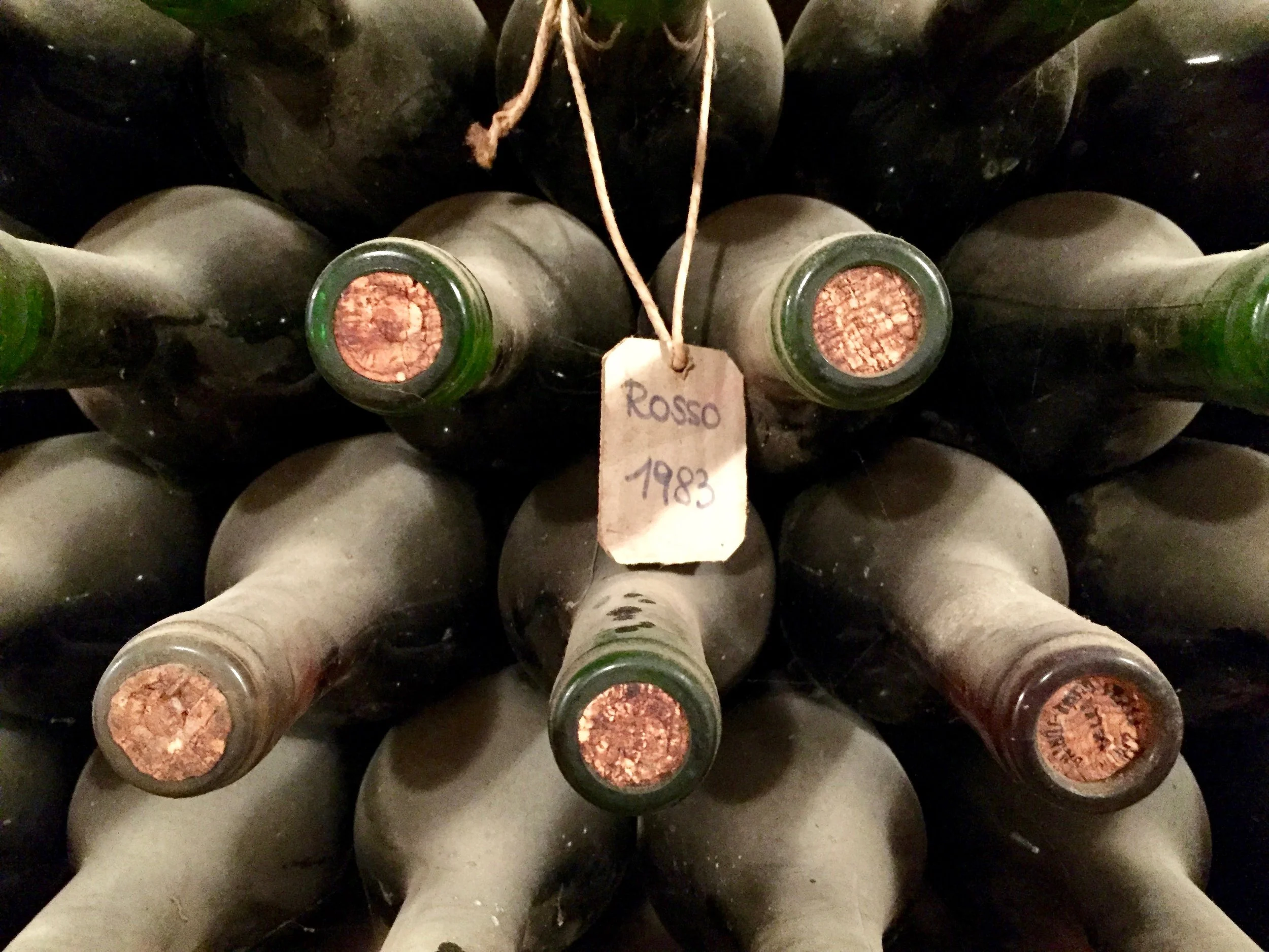 Wine Bottles, Tuscany