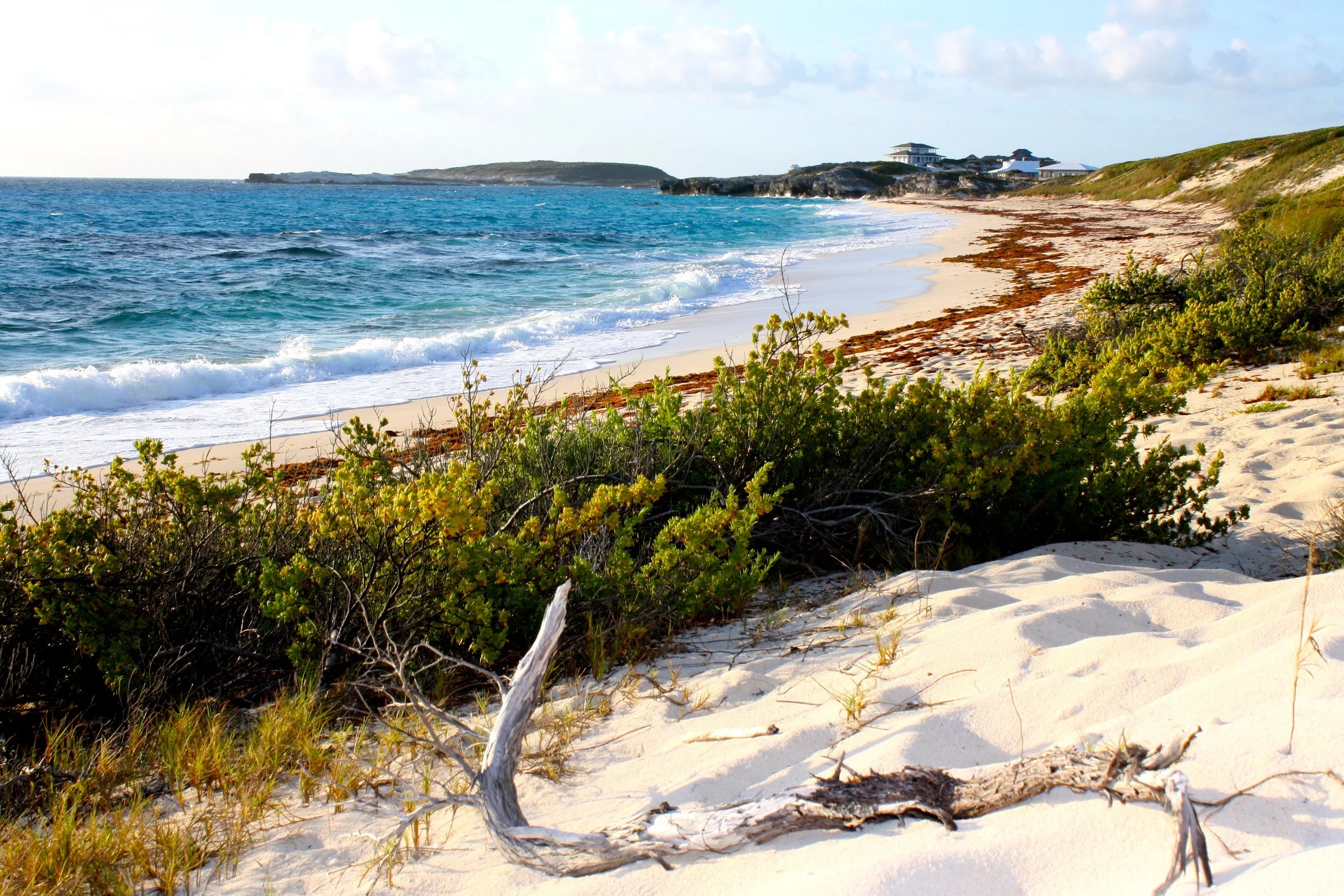  The ocean beach on Staniel 