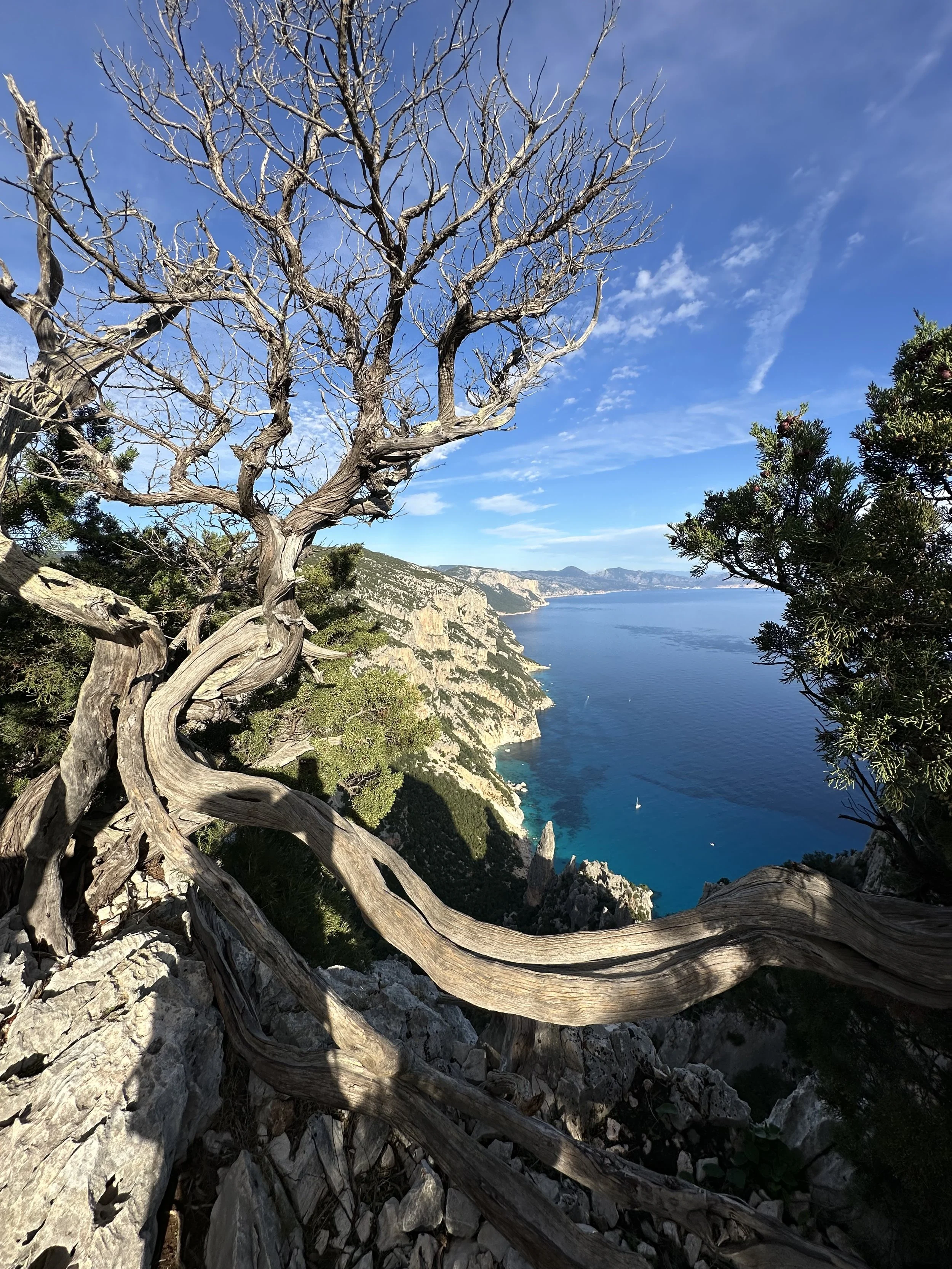  CLIMBING SARDINIA ~ SELVAGGIO BLU  Facing the Selvaggio Blu is an experience that leaves a deep imprint on the soul of anyone venturing into this extraordinary adventure. Five days immersed in steep rocks, crystal-clear sea, and untouched forests, t
