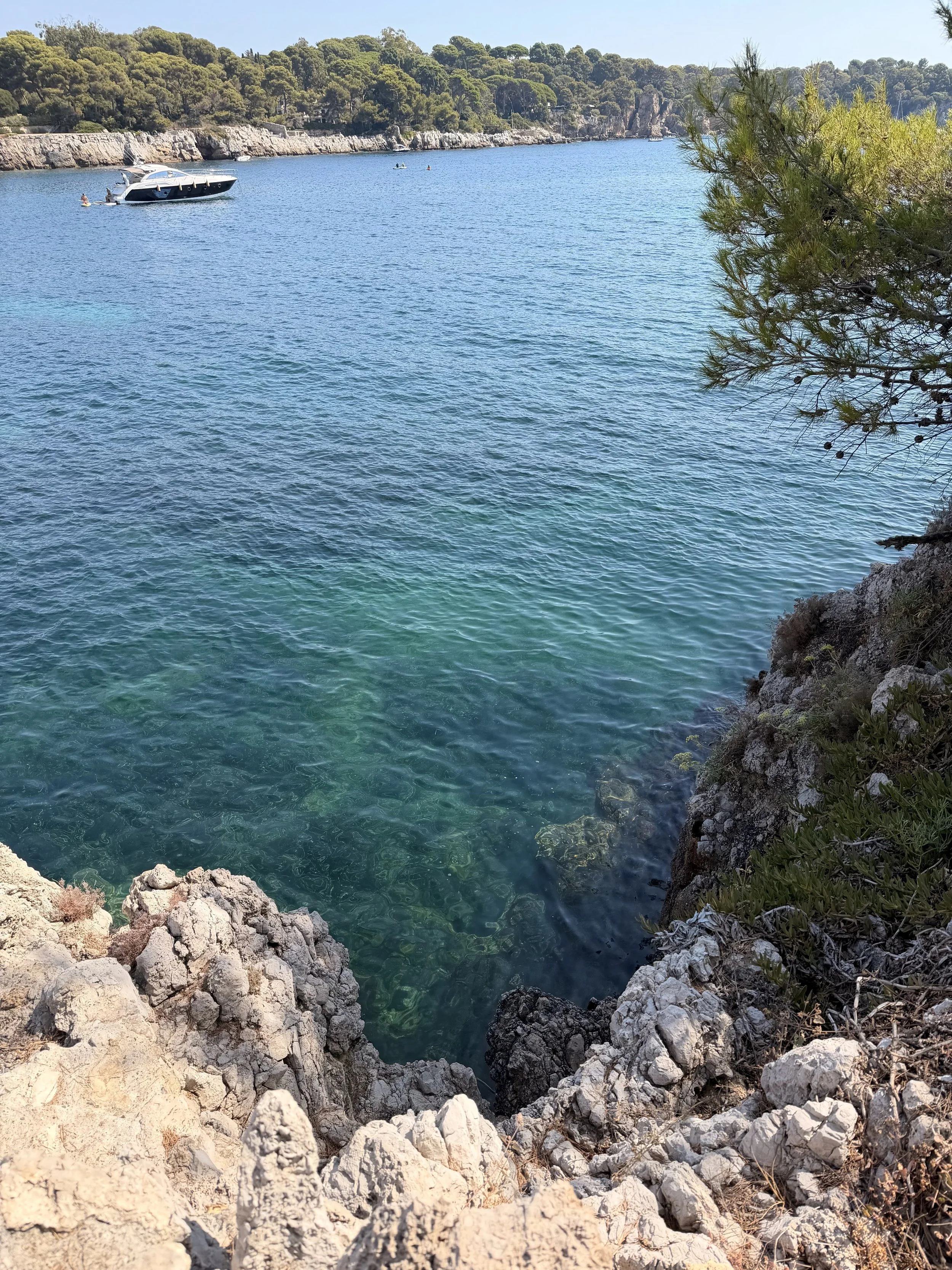 IMG_7632.jpeg