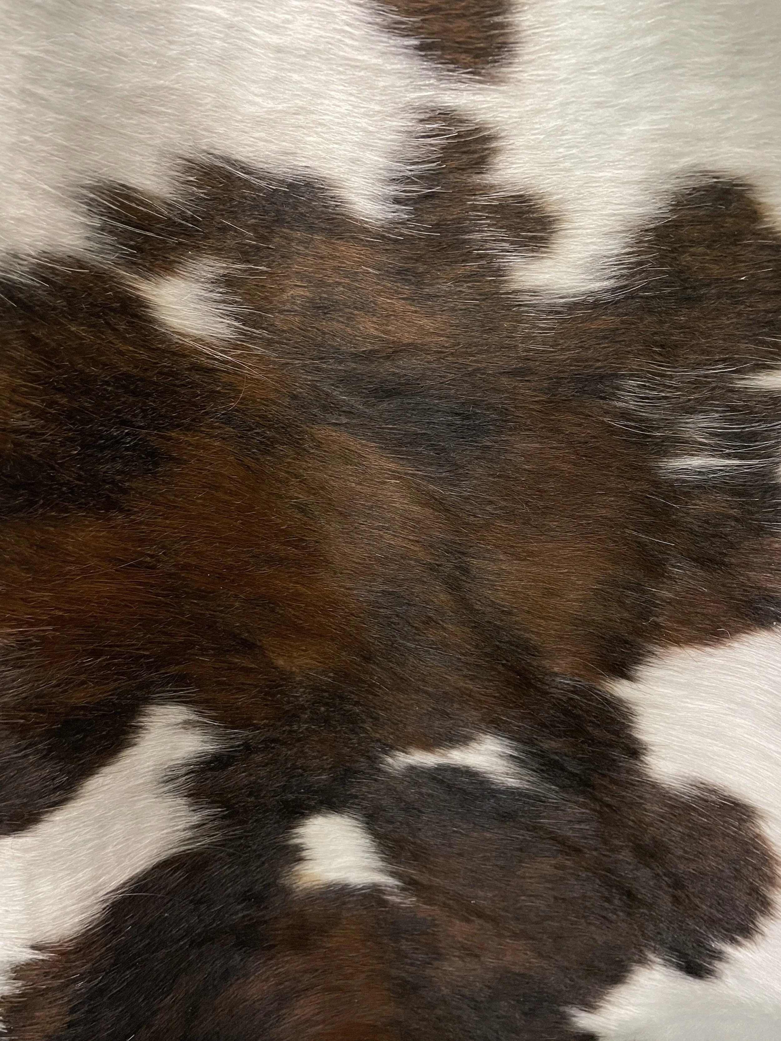 Top Drawer Furniture Northwest Arkansas Furniture Store