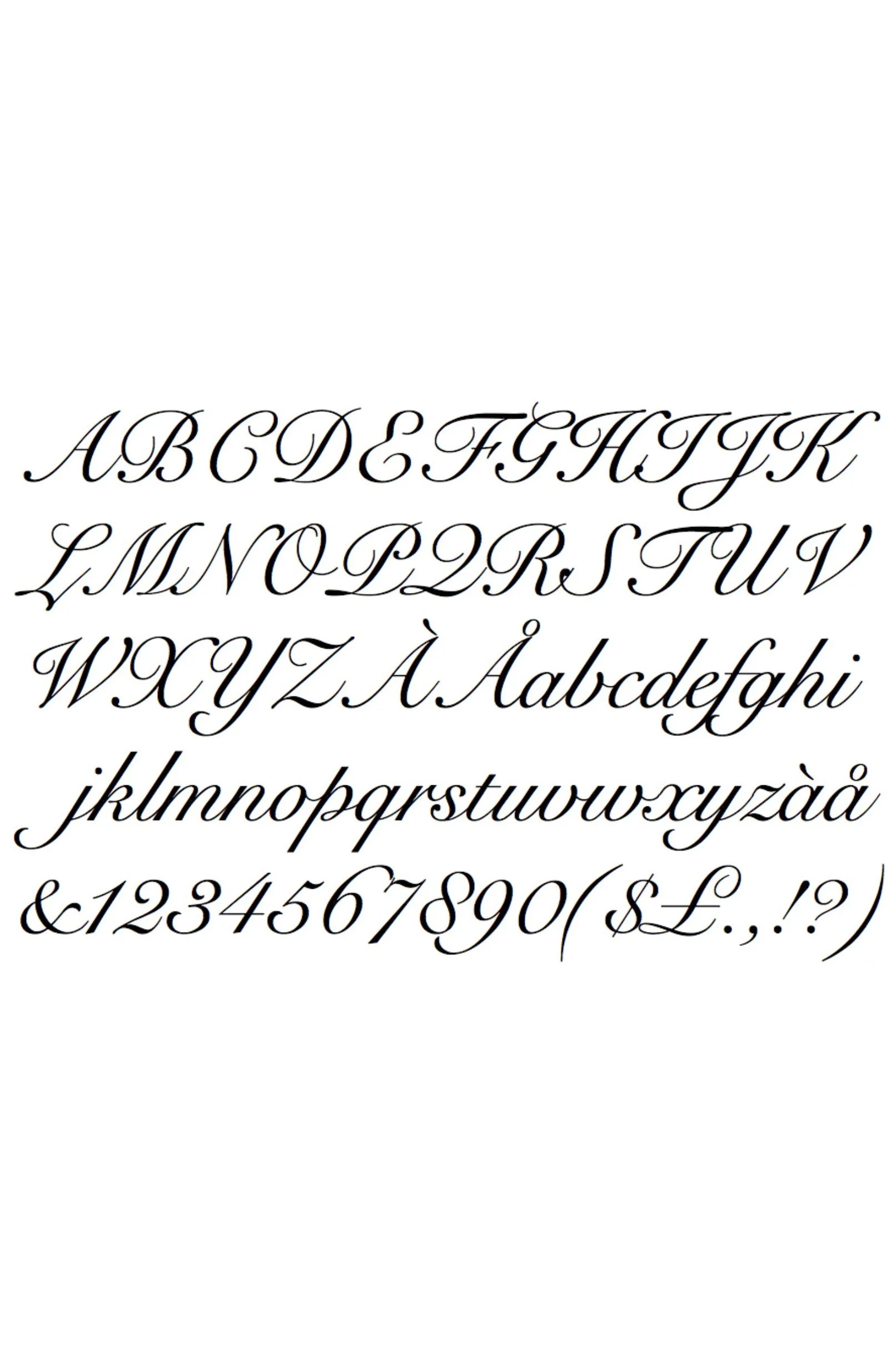 Screenshot 2026-02-02 at 4.03.jpeg