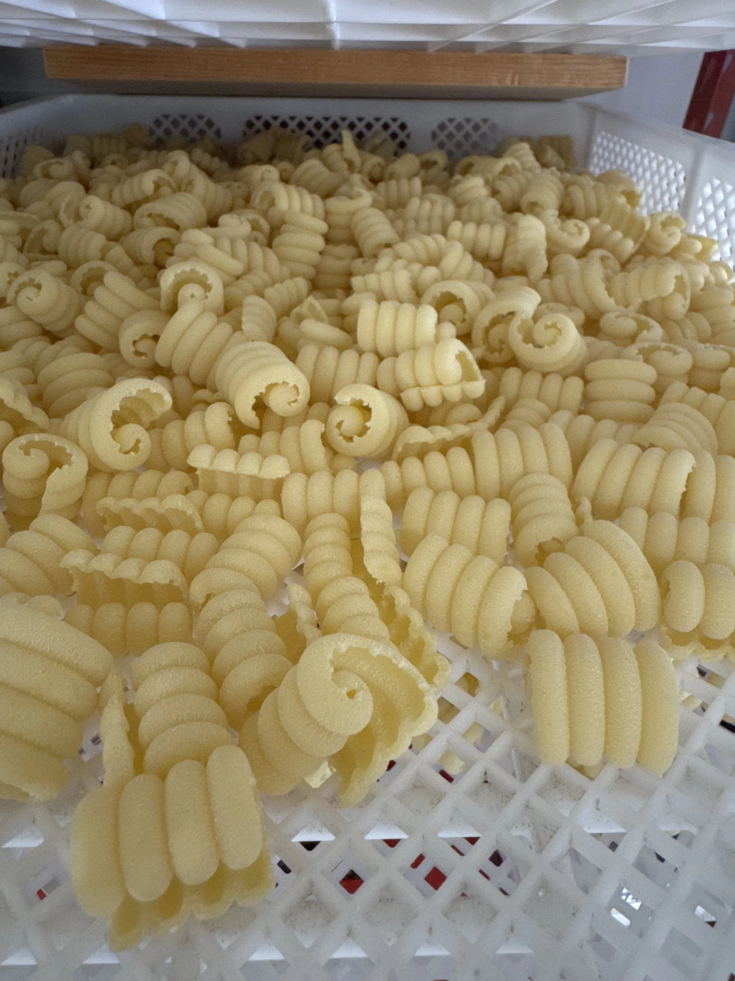 Londa Pasta