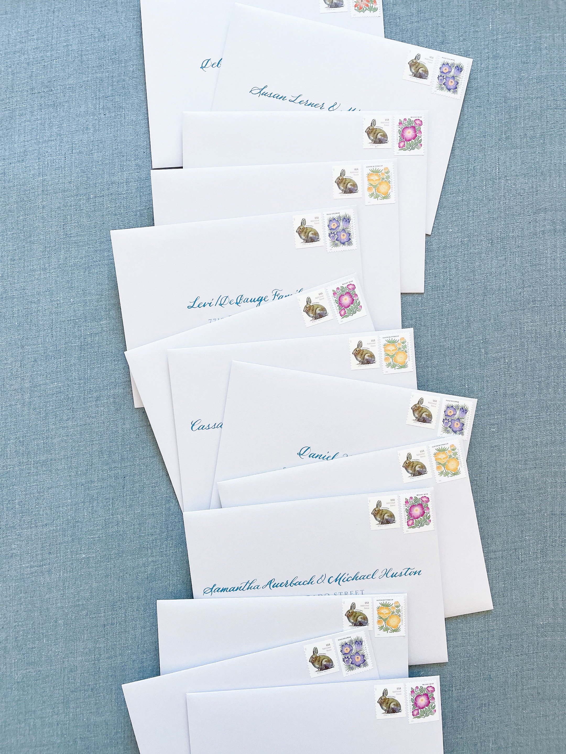 CDS_SemiCustom_Embellishments_AssemblyMailing3.jpg