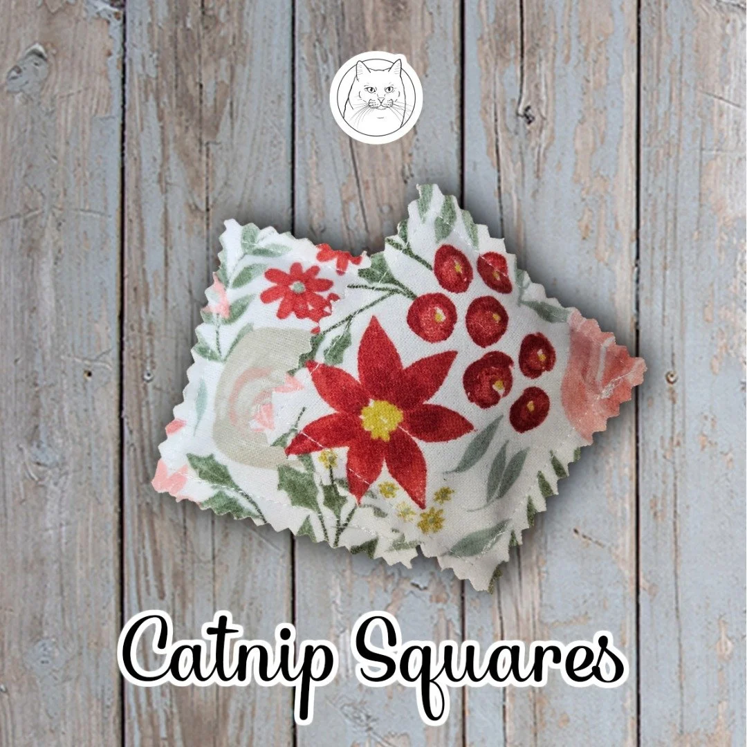 Catnip Sq - Winter Floral.jpeg