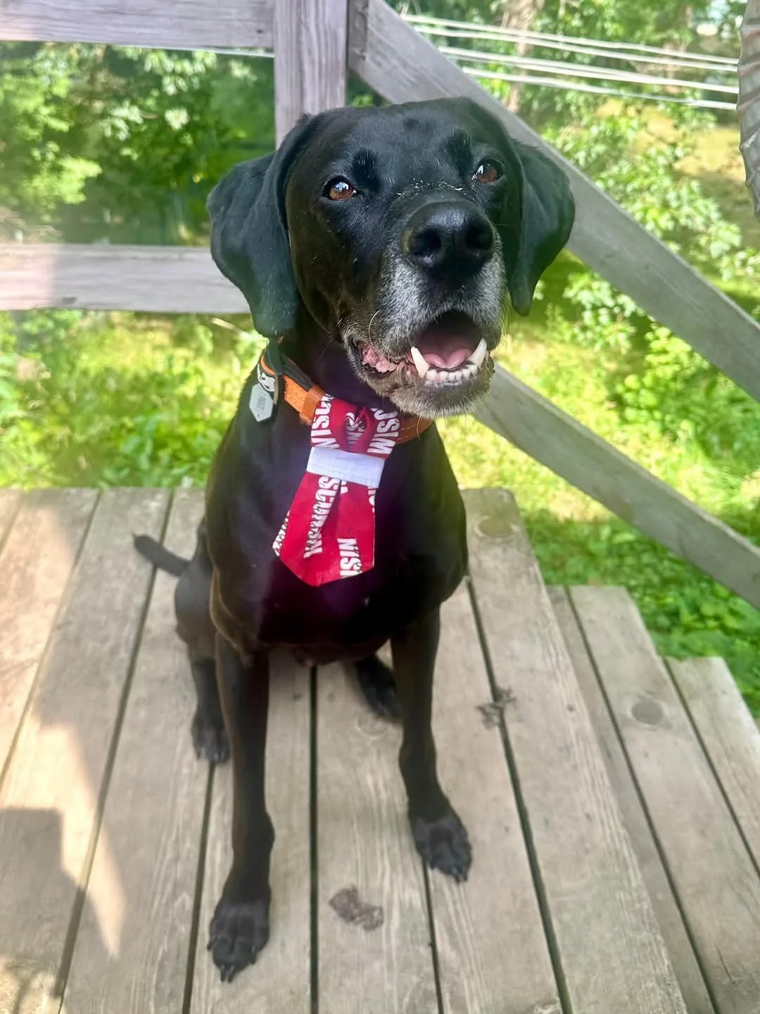 FB_IMG_1744250098145.jpg (Copy)