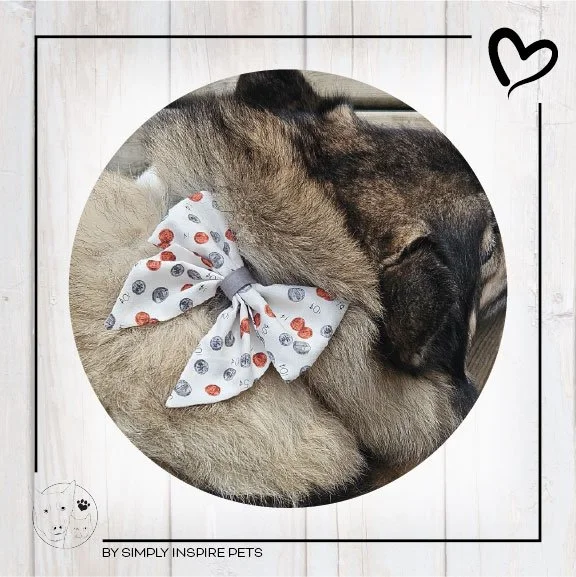 Bow on Dog Example.jpg (Copy) (Copy) (Copy) (Copy) (Copy) (Copy)