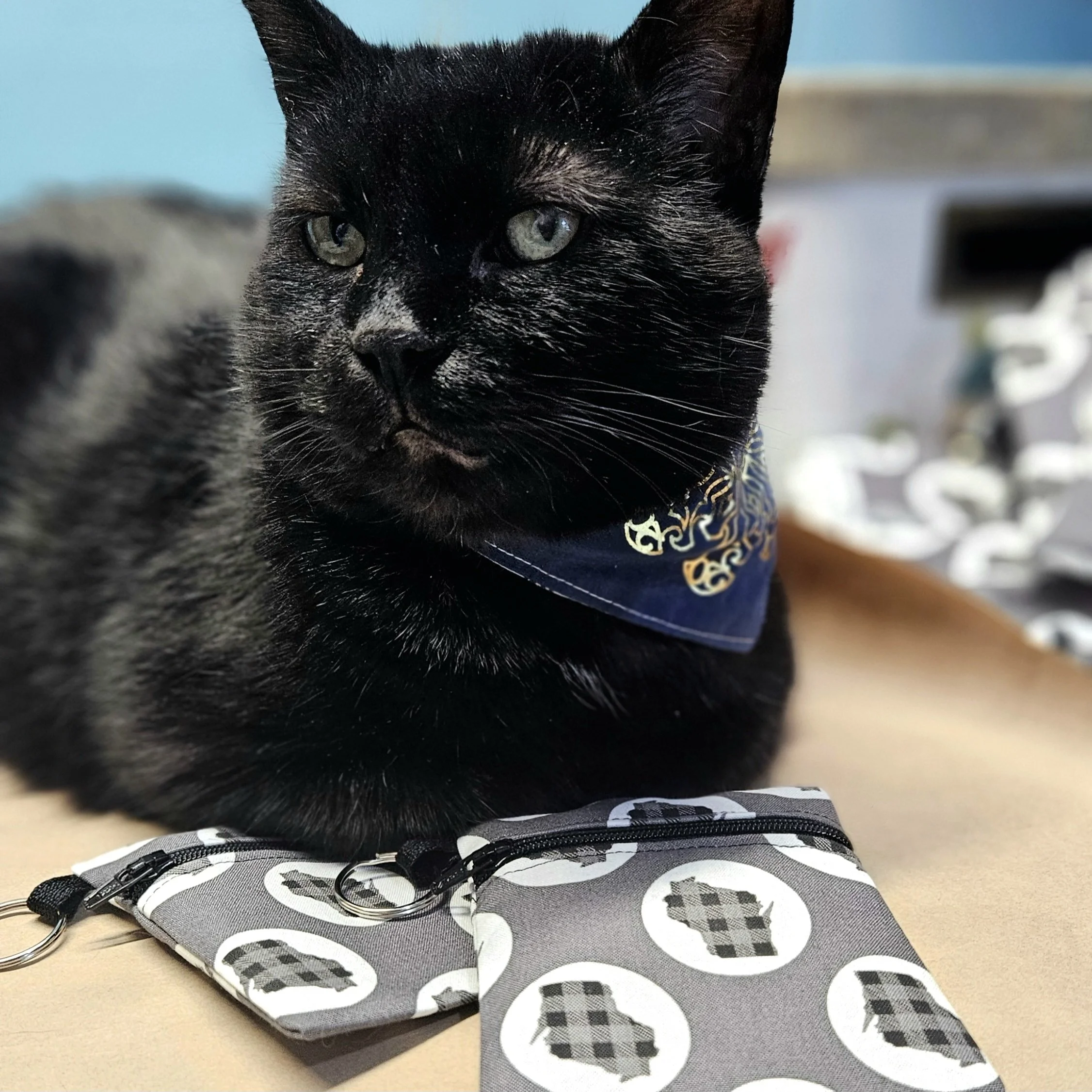 20250302_194736.jpg (Copy) (Copy)