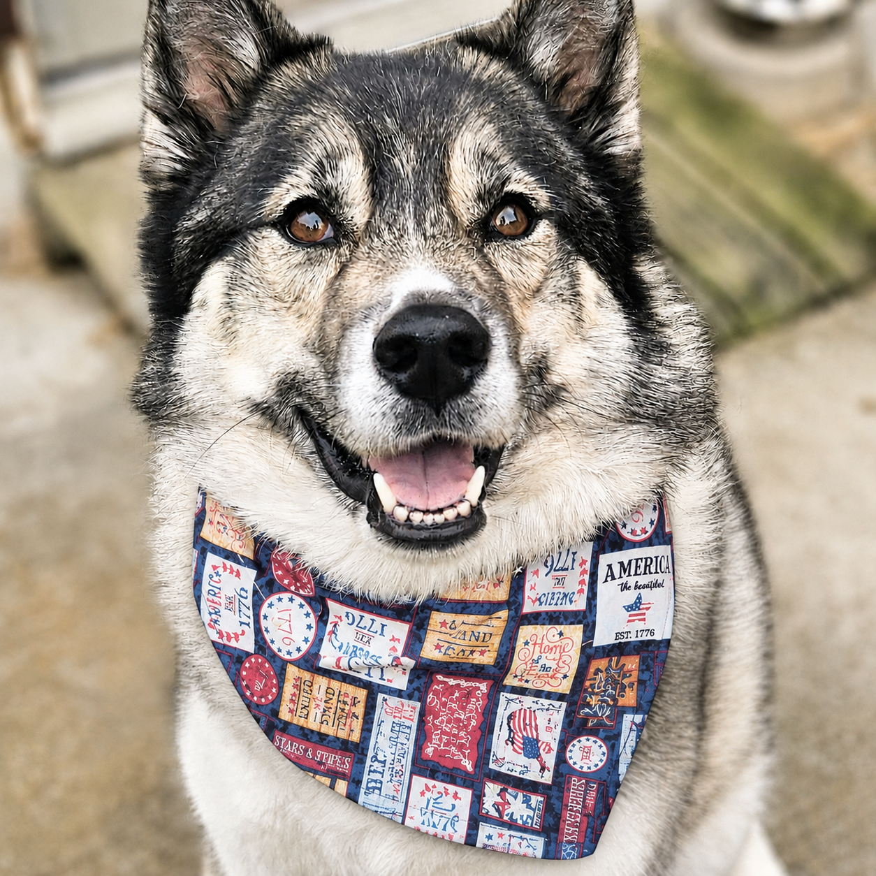 Patriotic+Stamps_Model.png