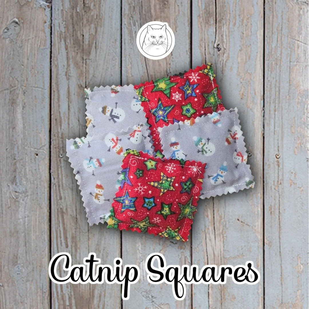 Snowmen & Stars Catnip Square Set.jpeg