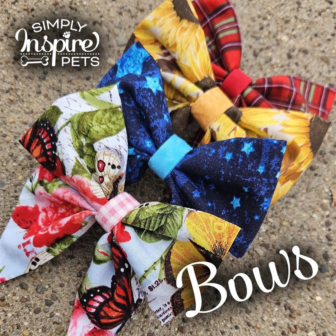 Bow Cover Image.jpg (Copy) (Copy)